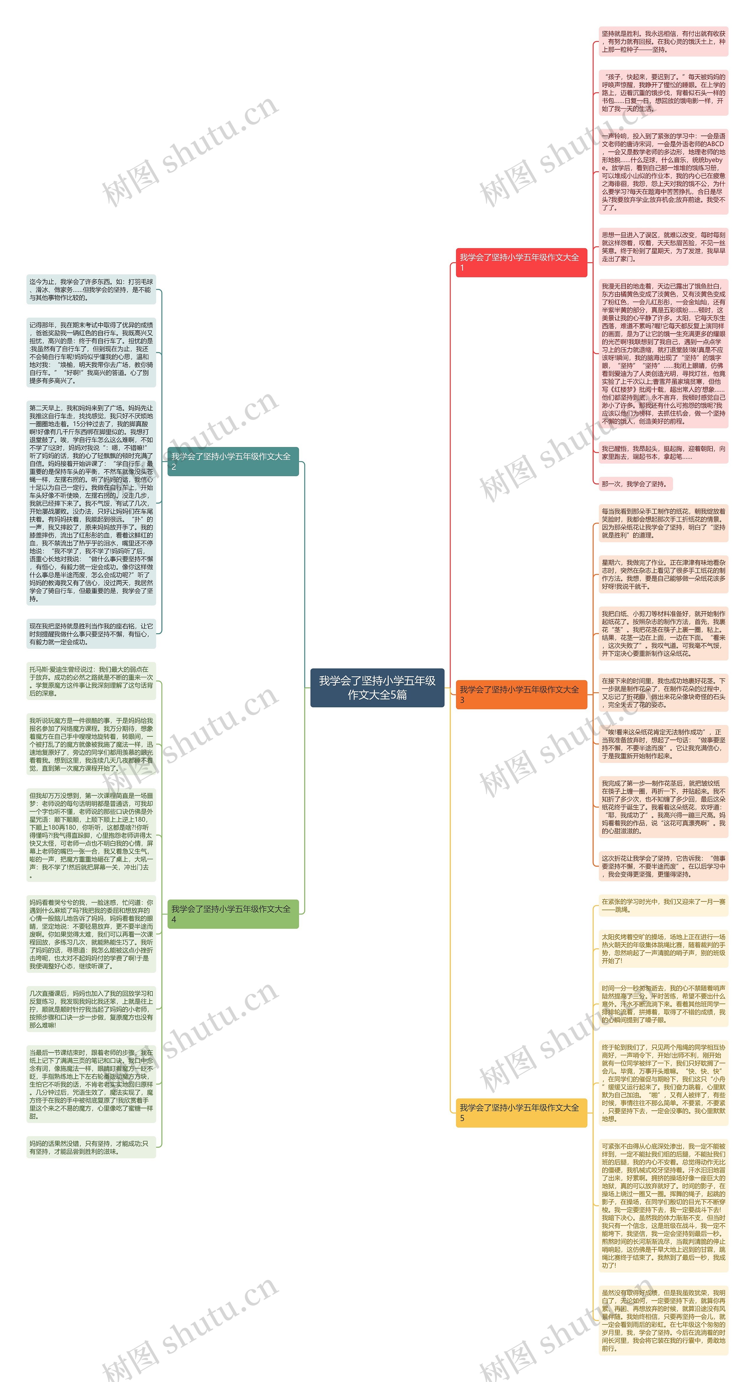 我学会了坚持小学五年级作文大全5篇思维导图
