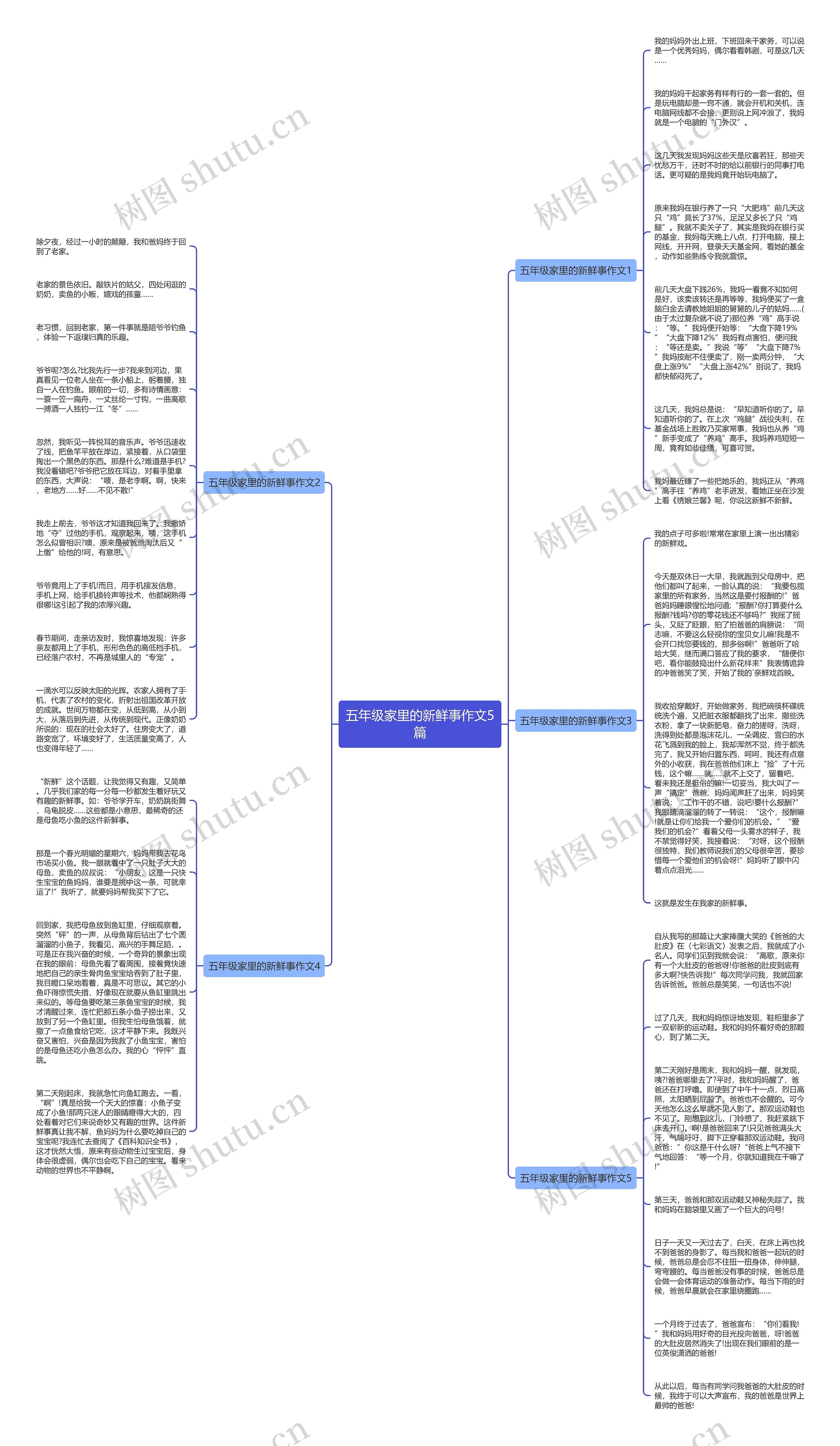 五年级家里的新鲜事作文5篇思维导图