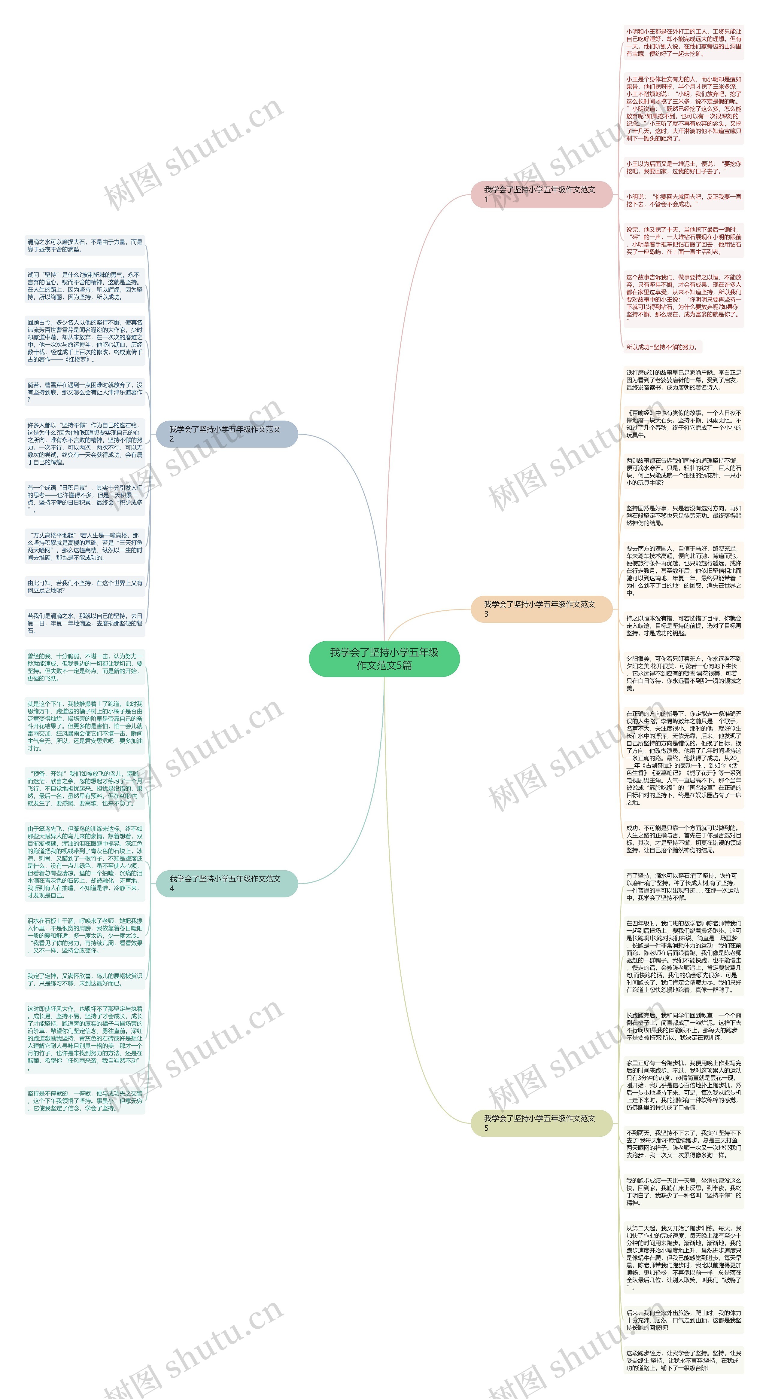 我学会了坚持小学五年级作文范文5篇思维导图