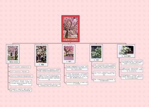 5种春季开花的树木预览图