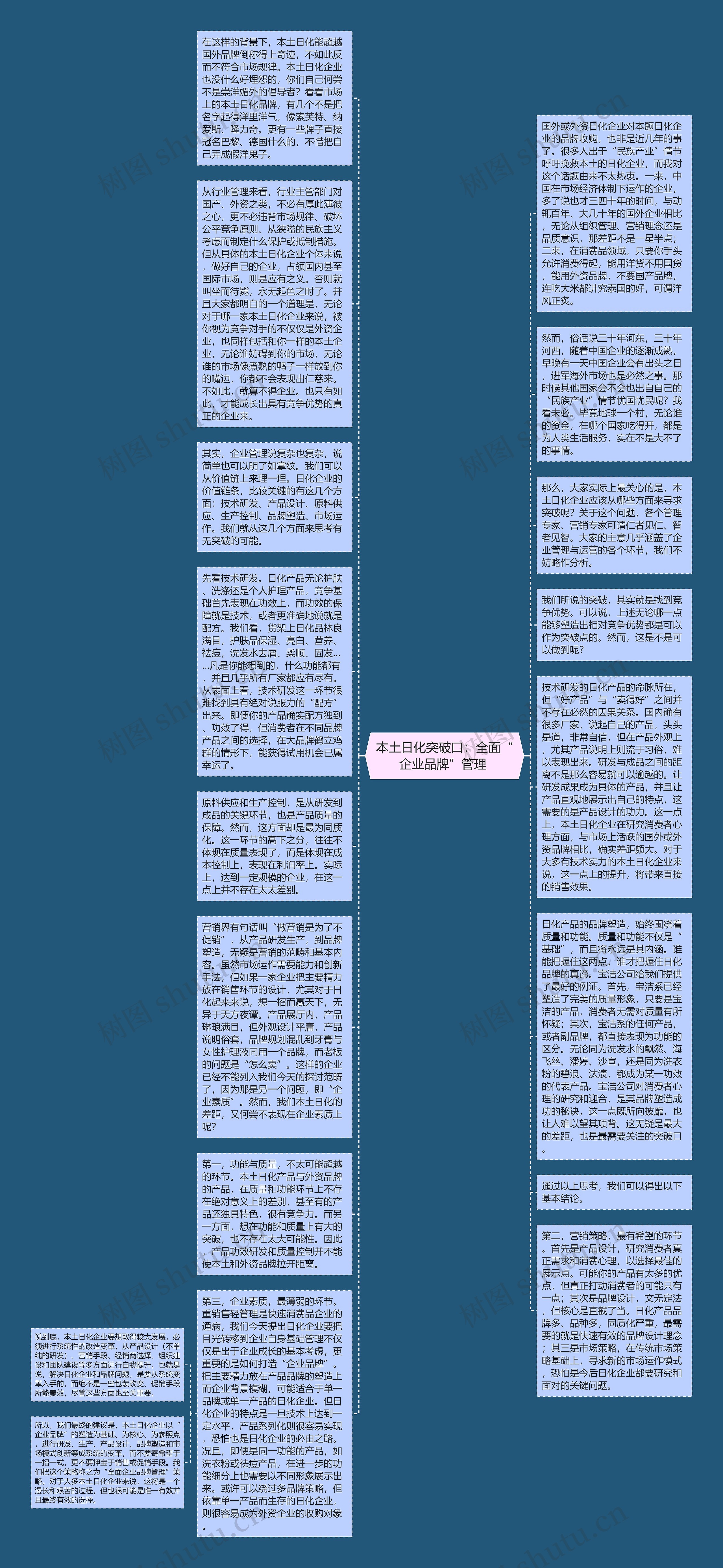 本土日化突破口：全面“企业品牌”管理 思维导图