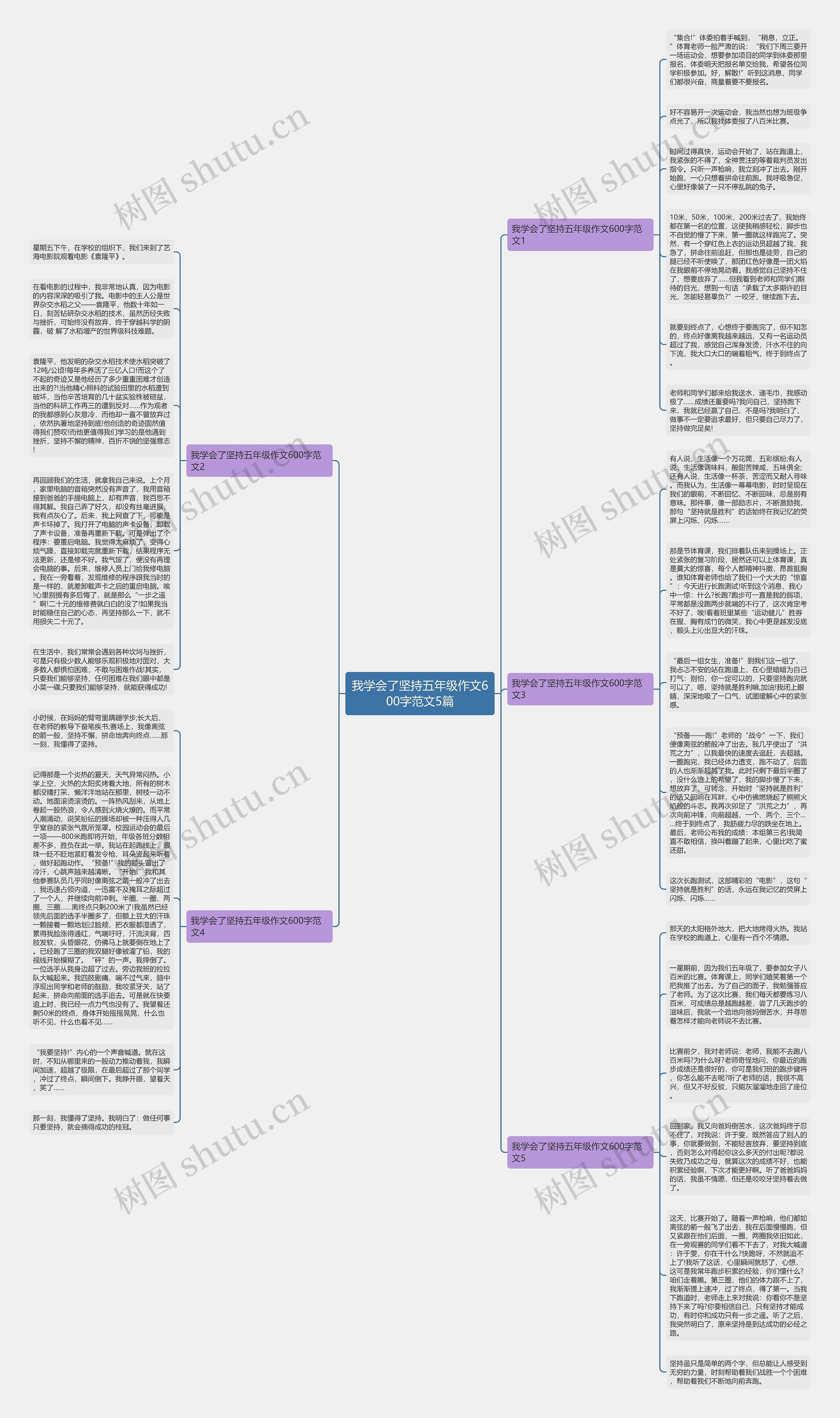我学会了坚持五年级作文600字范文5篇思维导图