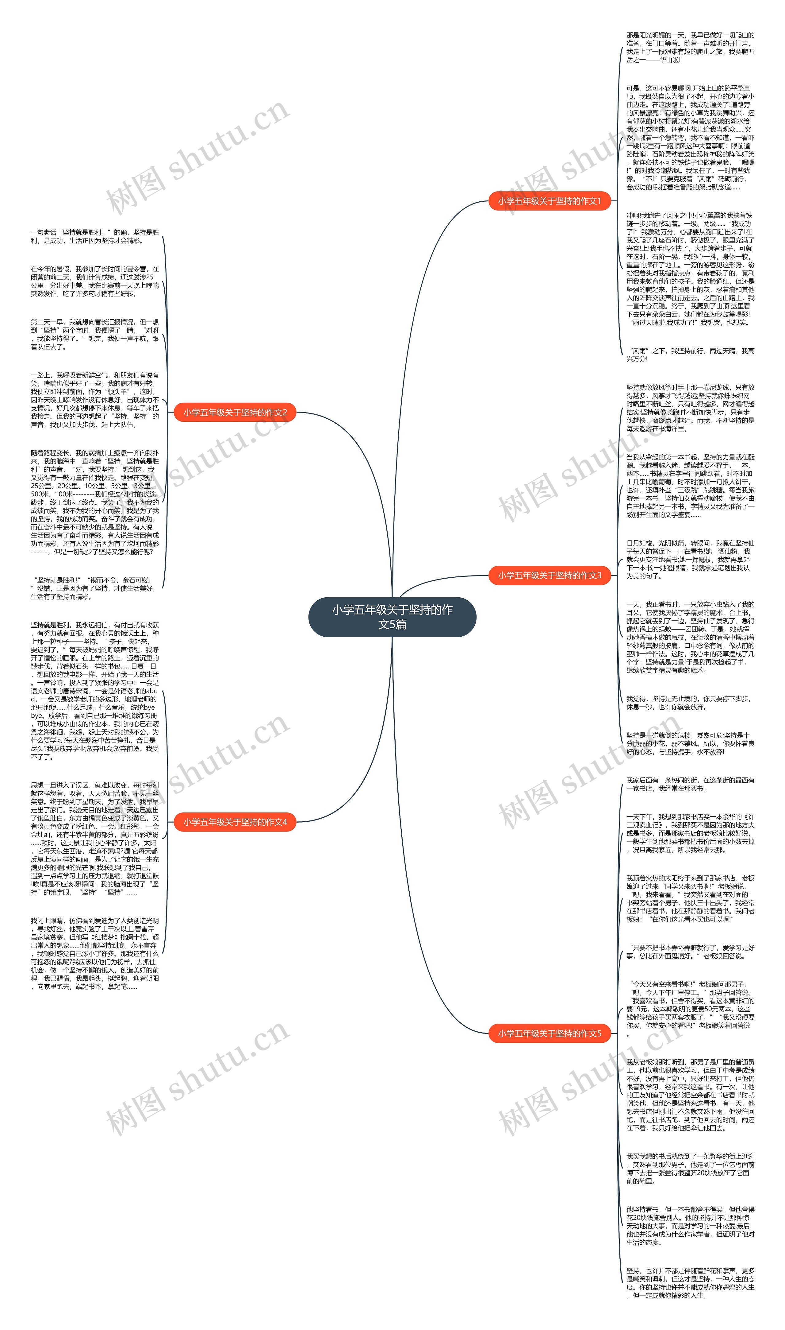 小学五年级关于坚持的作文5篇思维导图