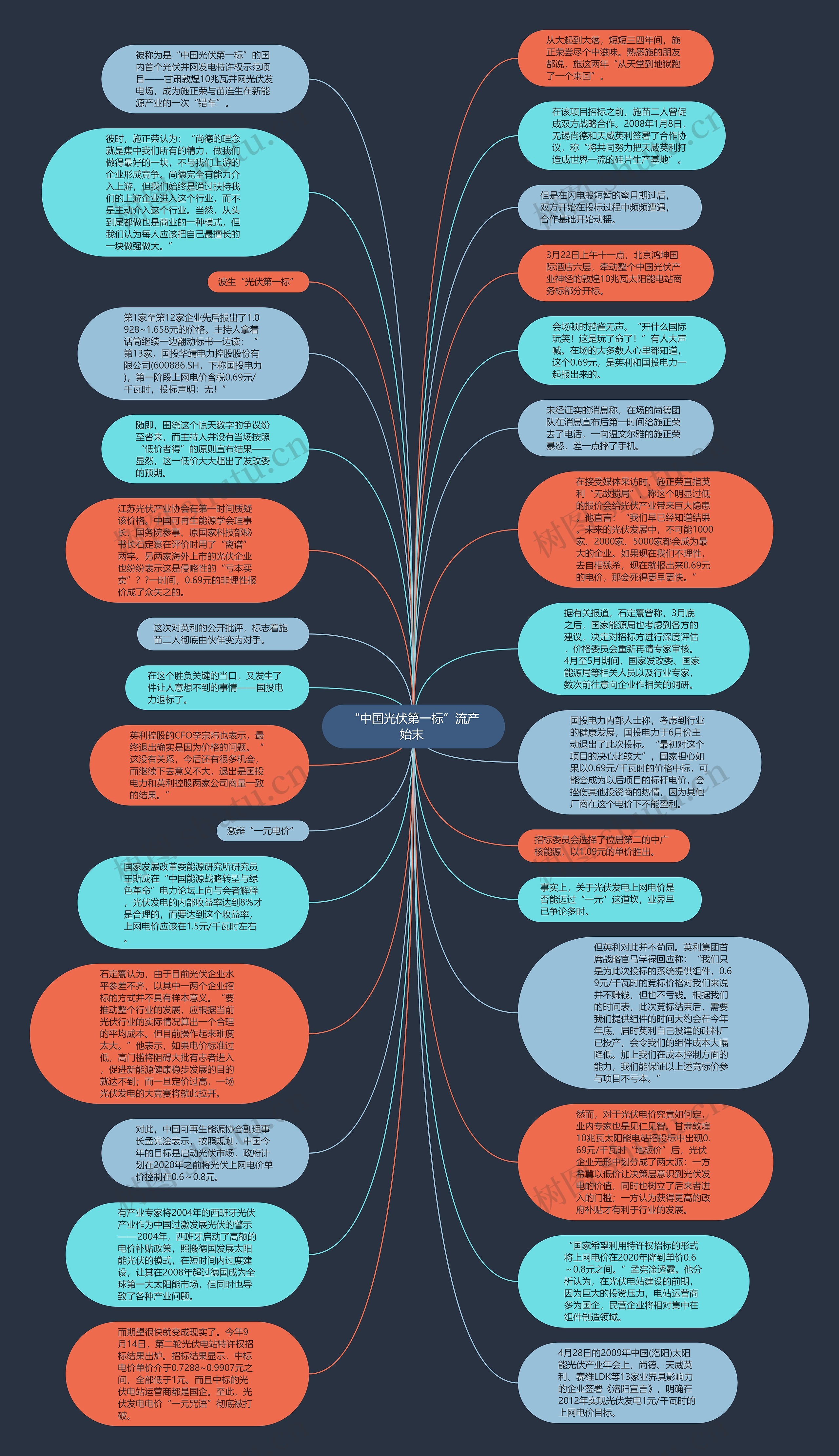 “中国光伏第一标”流产始末 思维导图