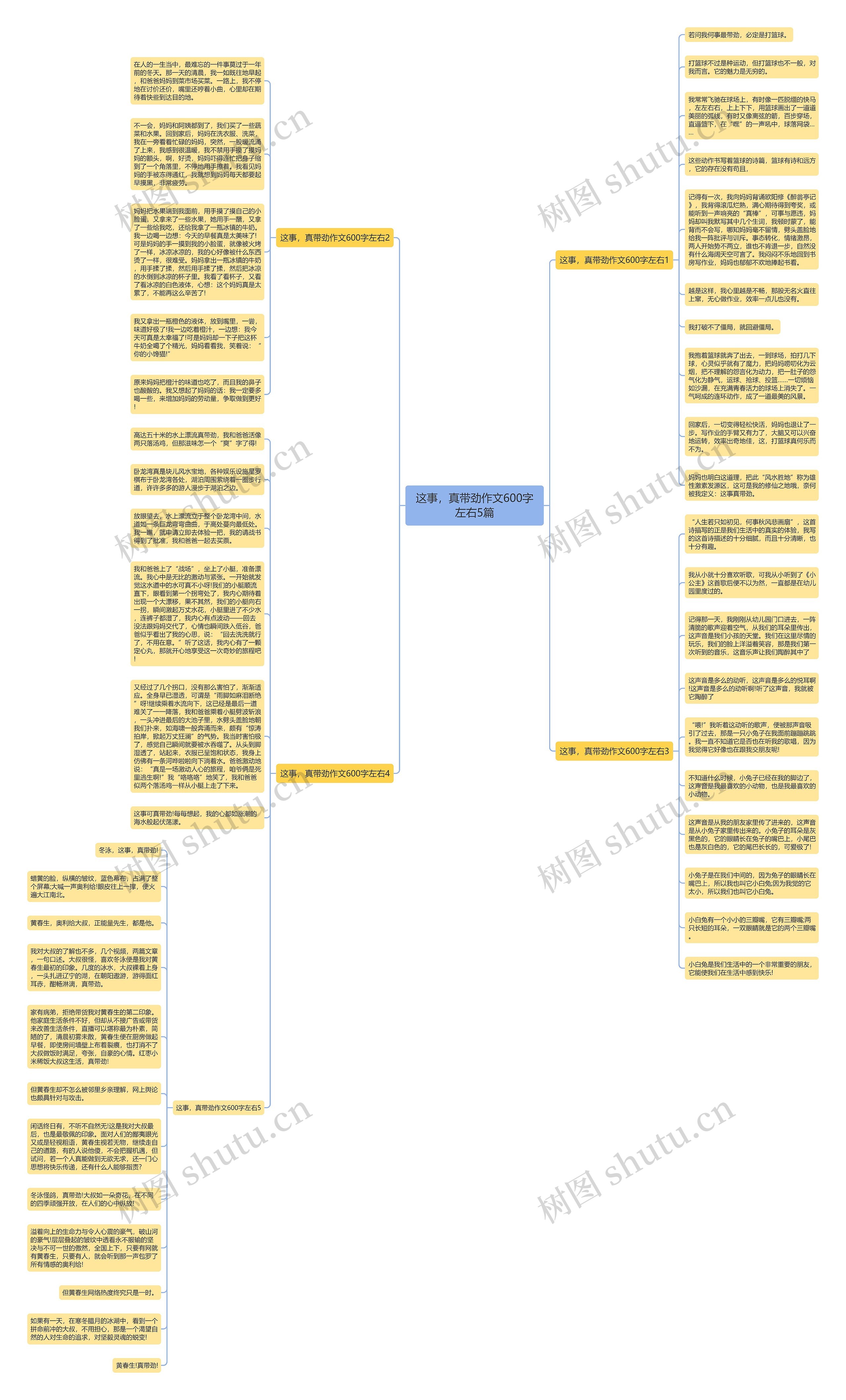 这事，真带劲作文600字左右5篇思维导图