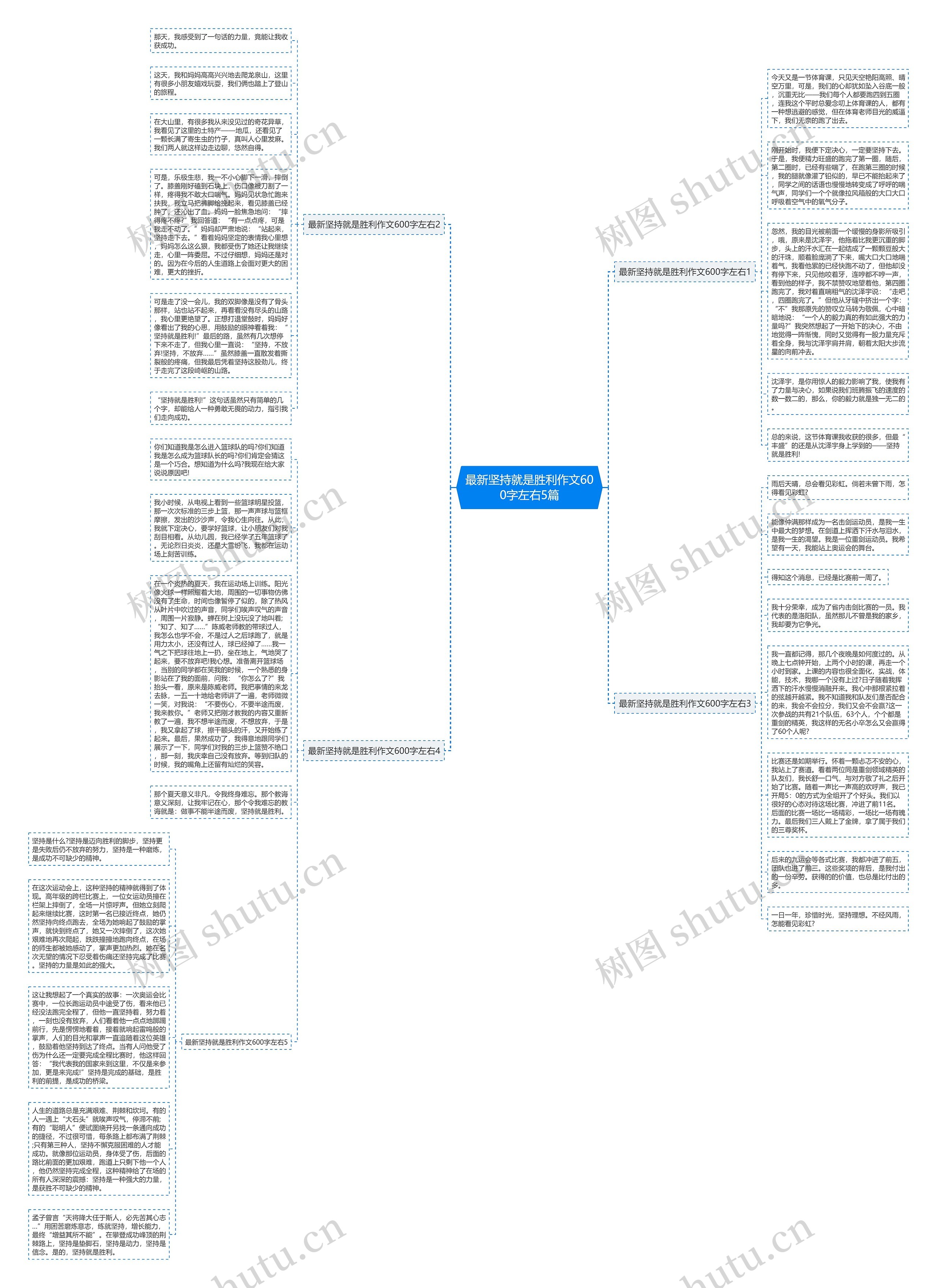 最新坚持就是胜利作文600字左右5篇思维导图