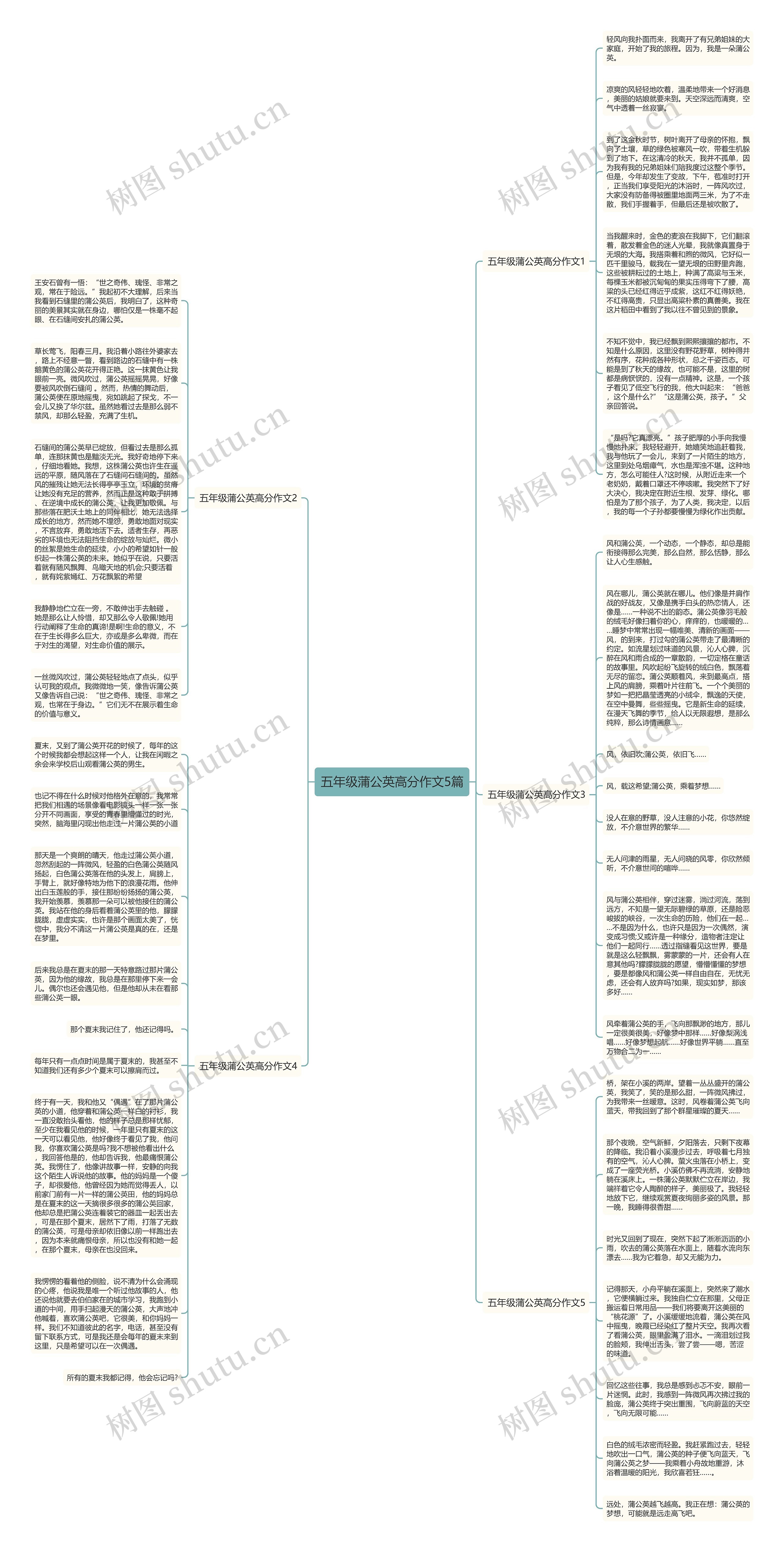 五年级蒲公英高分作文5篇思维导图