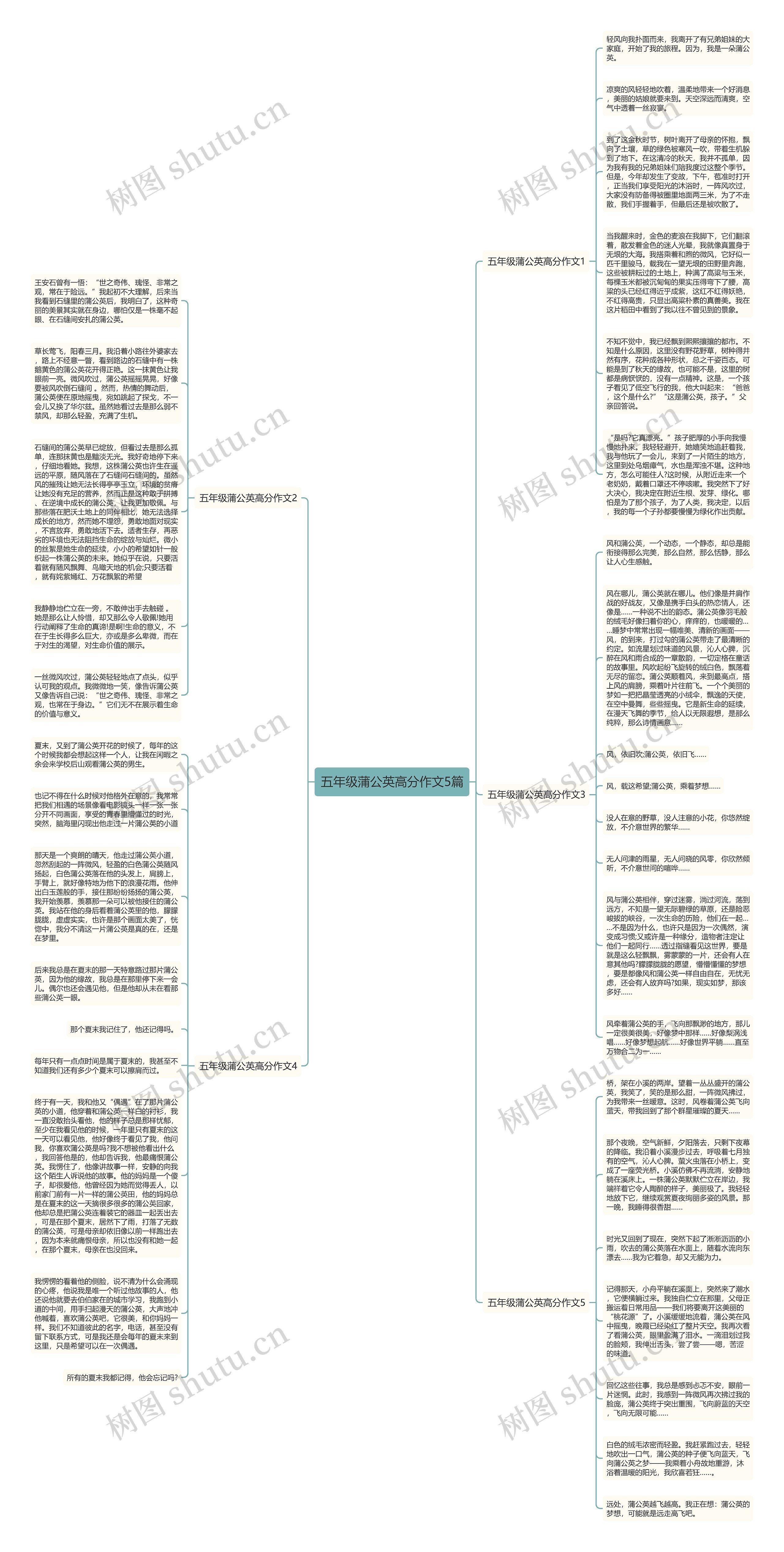 五年级蒲公英高分作文5篇思维导图高清图 五年级蒲公英高分作文5篇思维导图