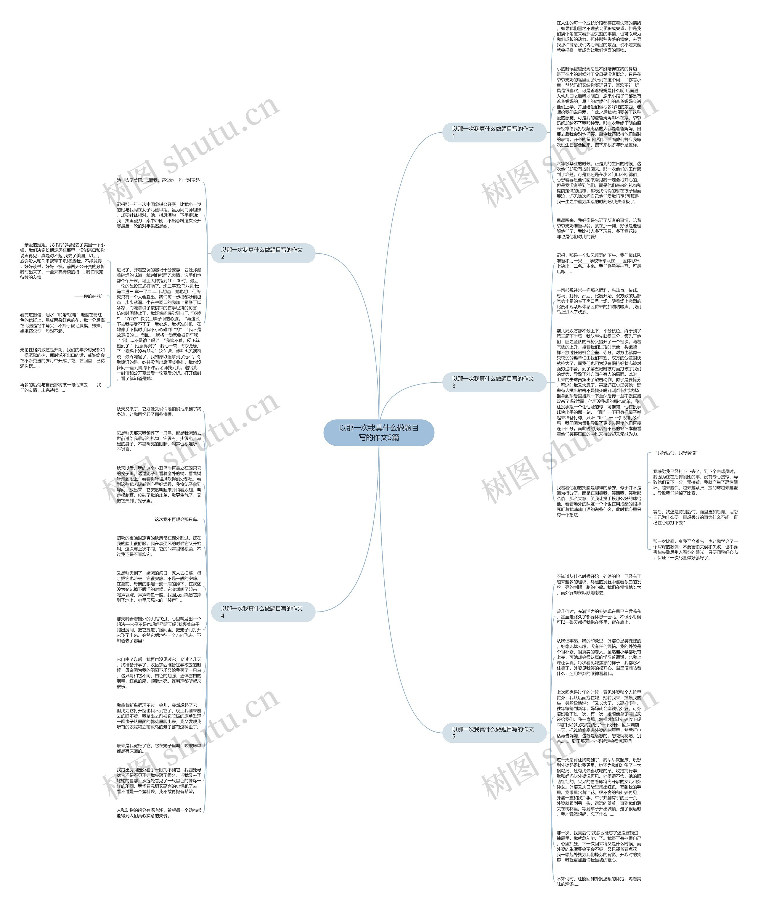 以那一次我真什么做题目写的作文5篇思维导图高清图 以那一次我真什么做题目写的作文5篇思维导图
