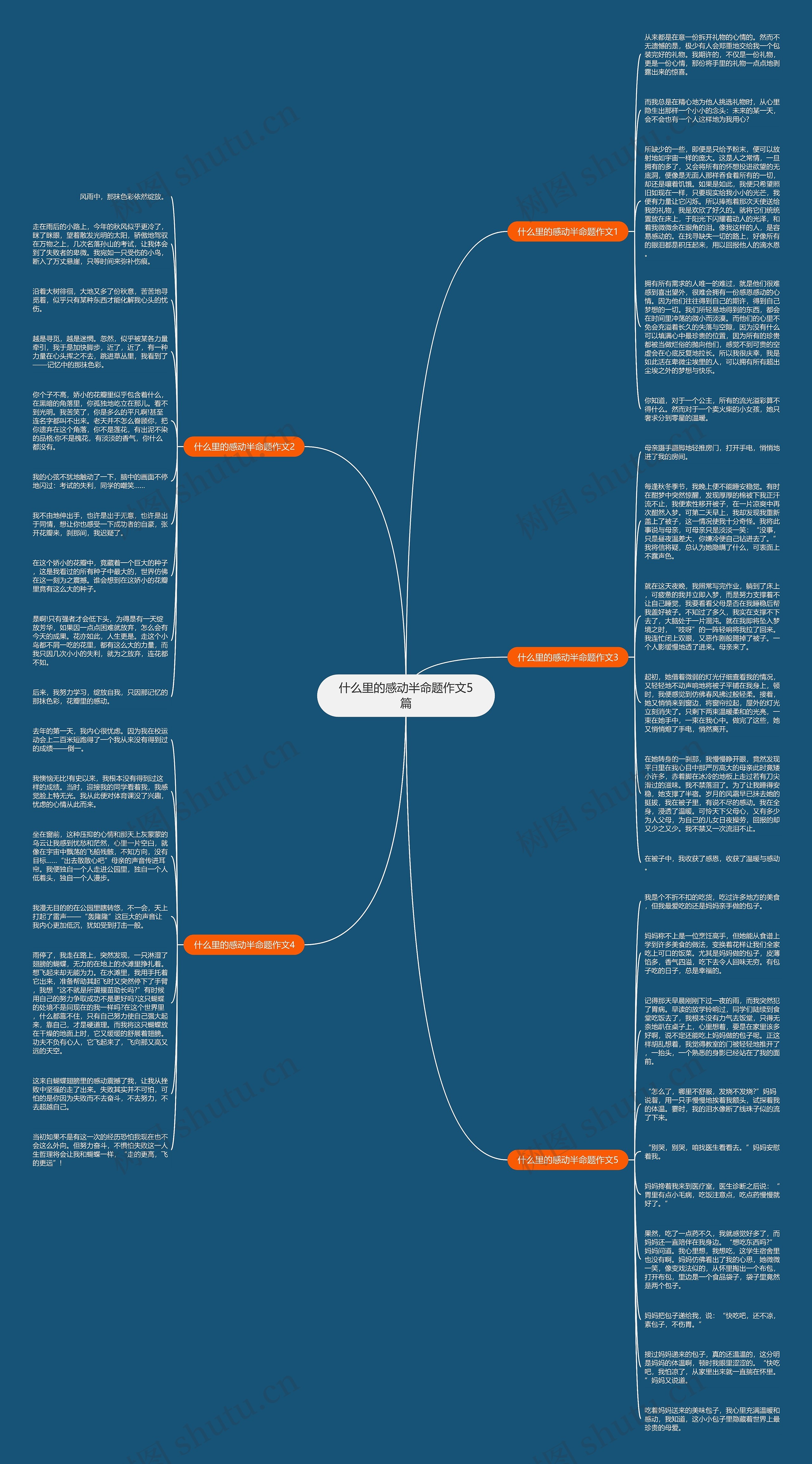 什么里的感动半命题作文5篇