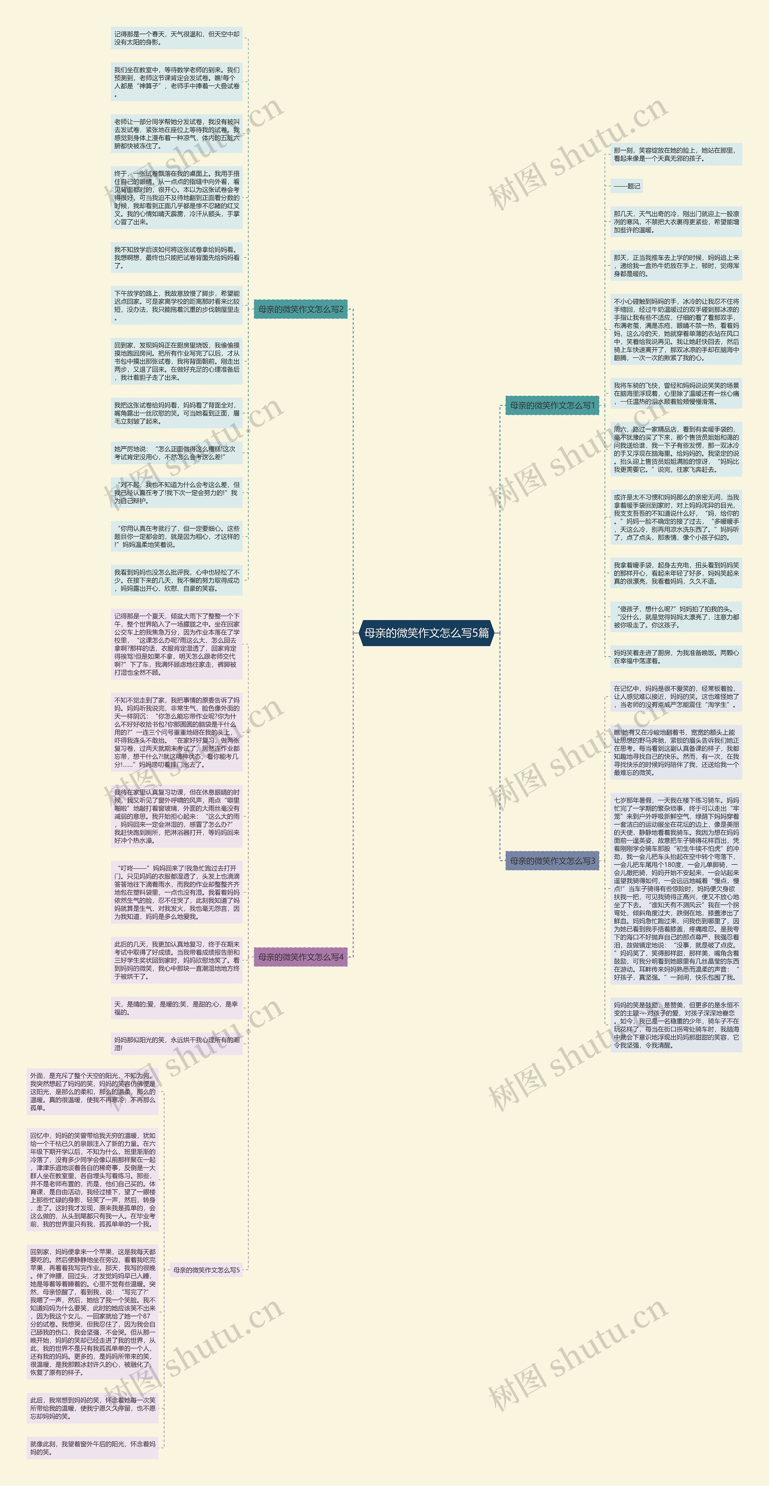 母亲的微笑作文怎么写5篇思维导图