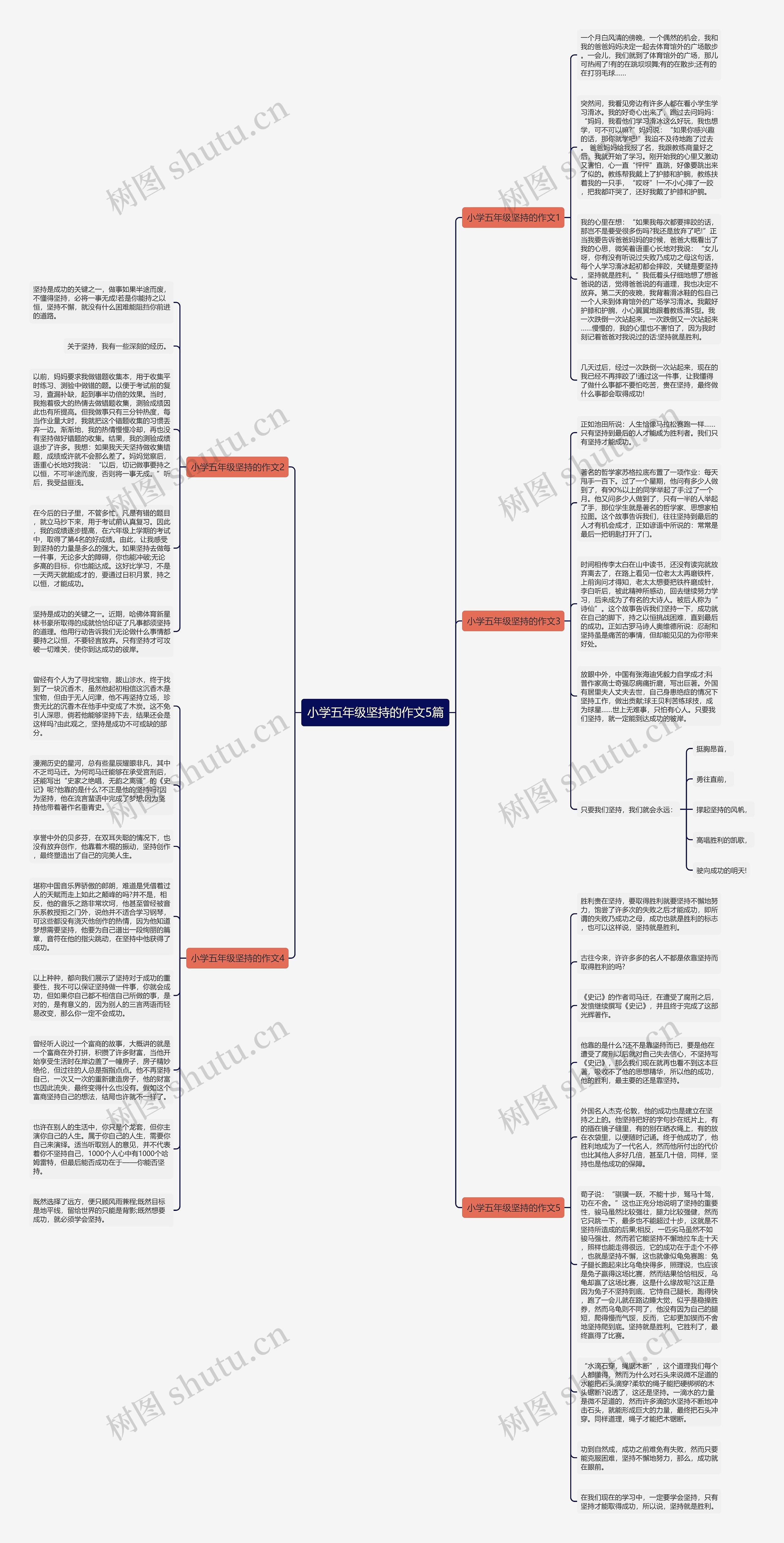 小学五年级坚持的作文5篇思维导图