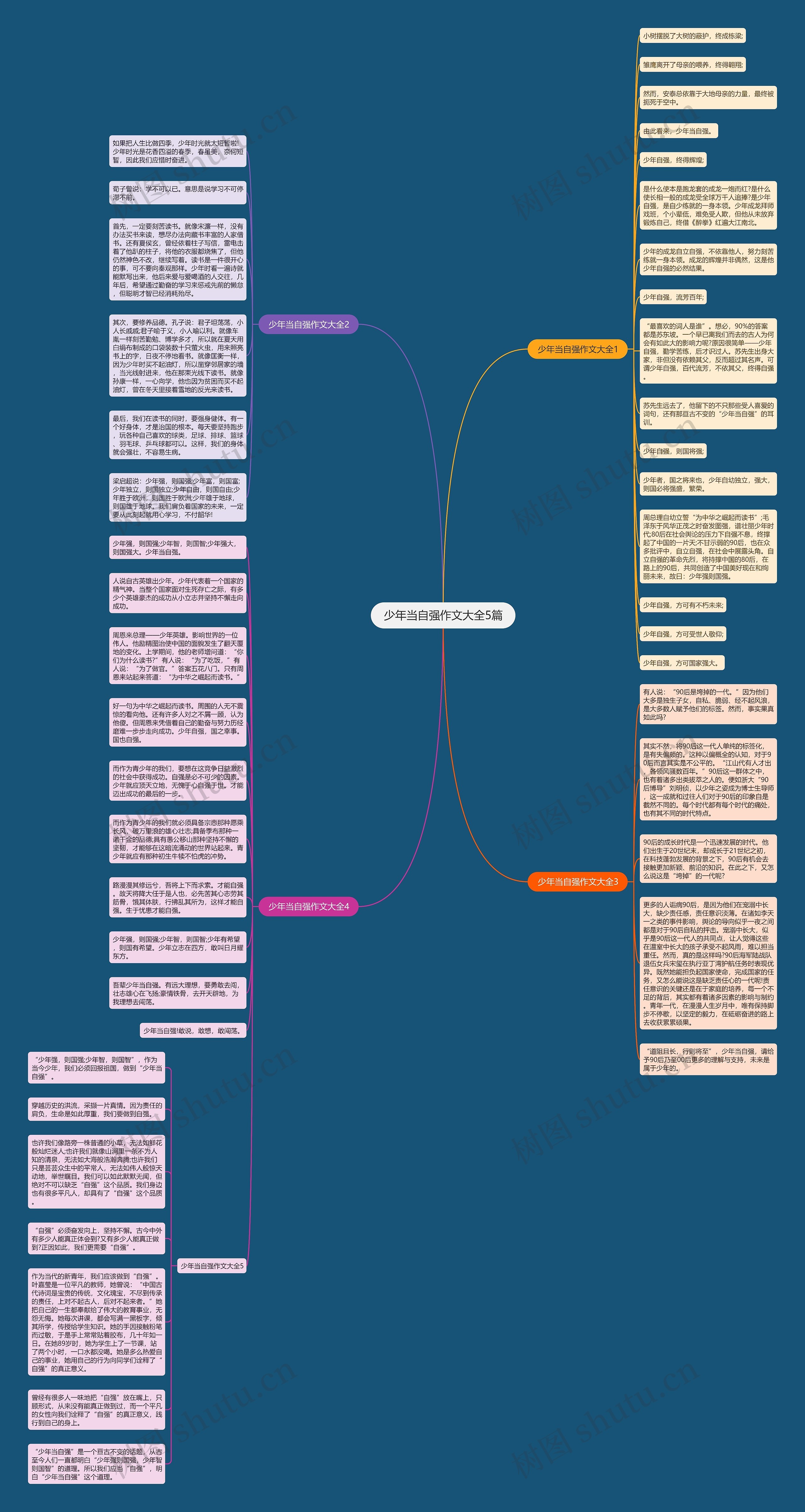 少年当自强作文大全5篇思维导图