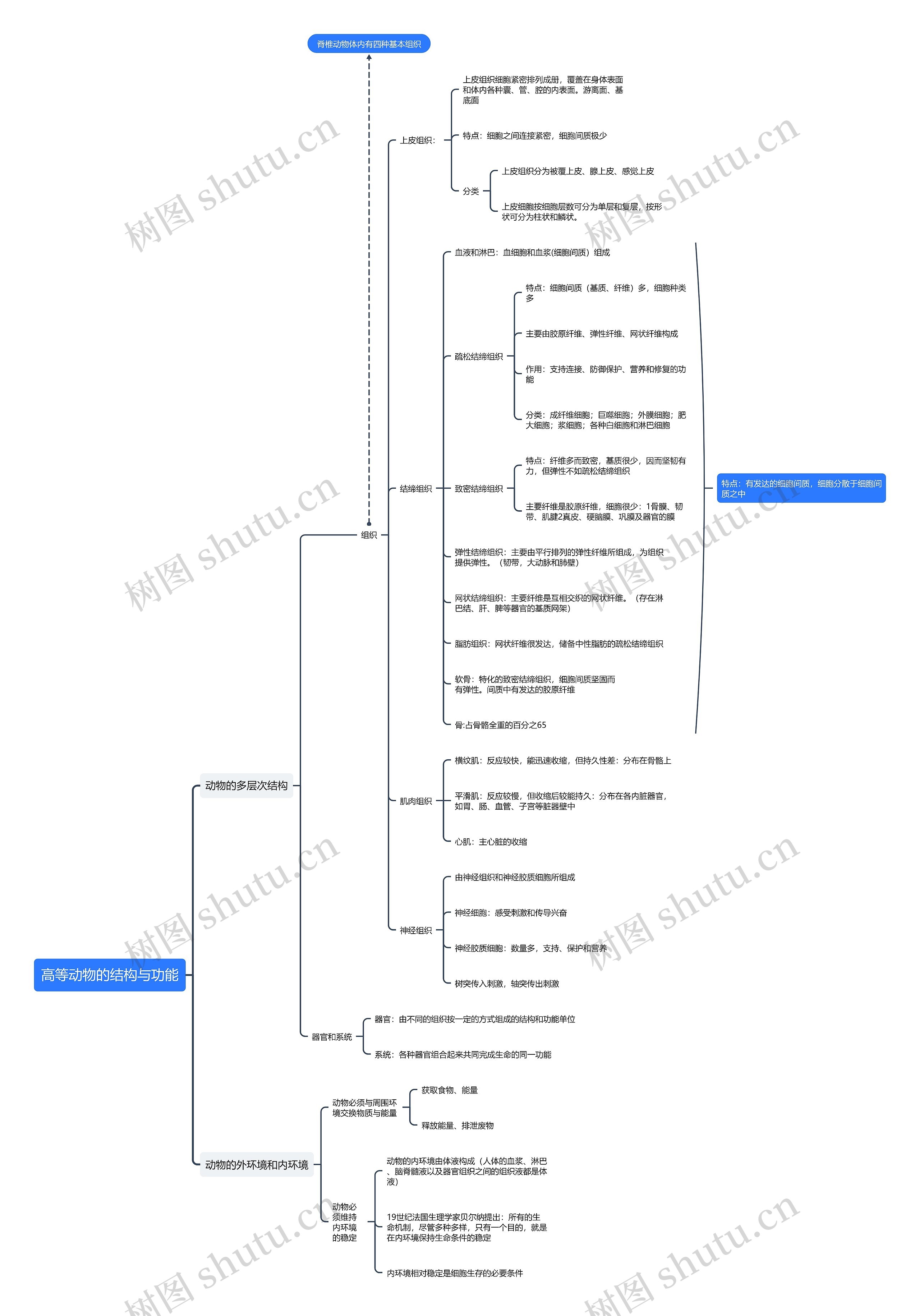 高等动物的结构与功能思维导图