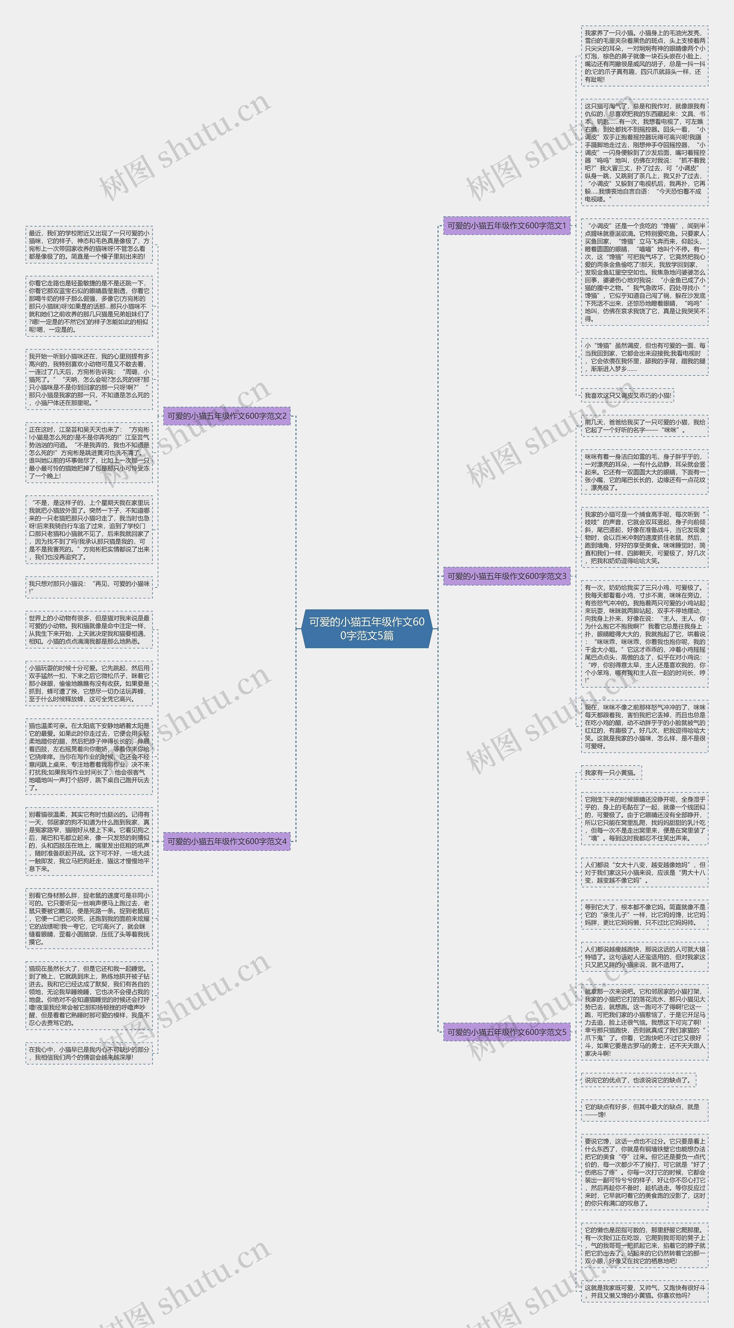 可爱的小猫五年级作文600字范文5篇