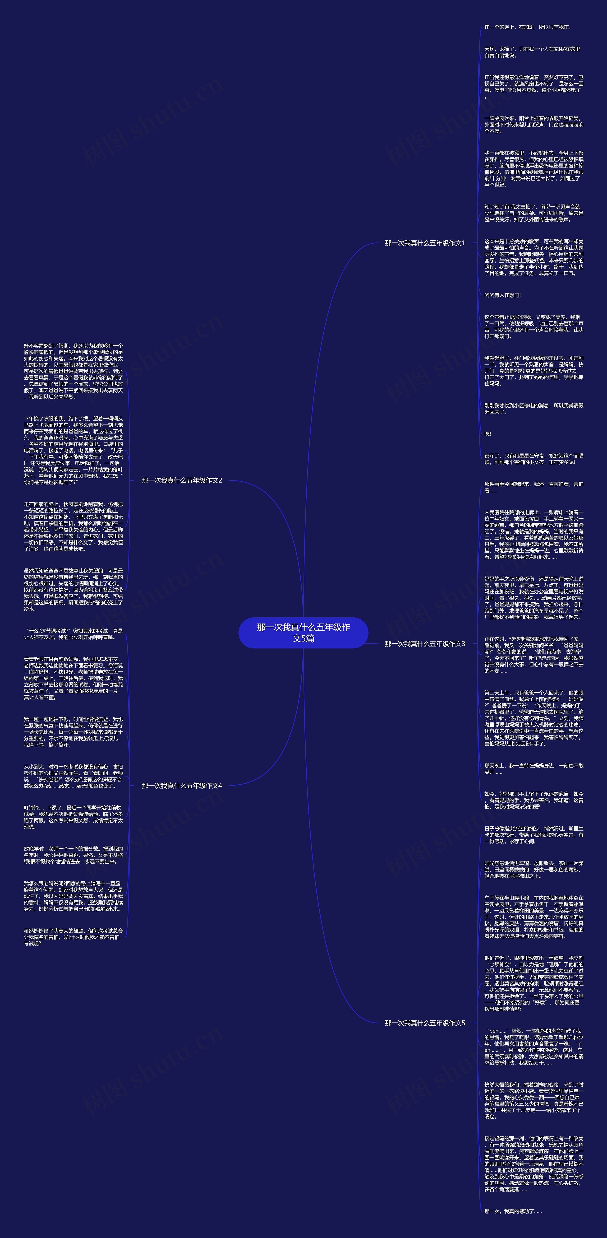 那一次我真什么五年级作文5篇思维导图