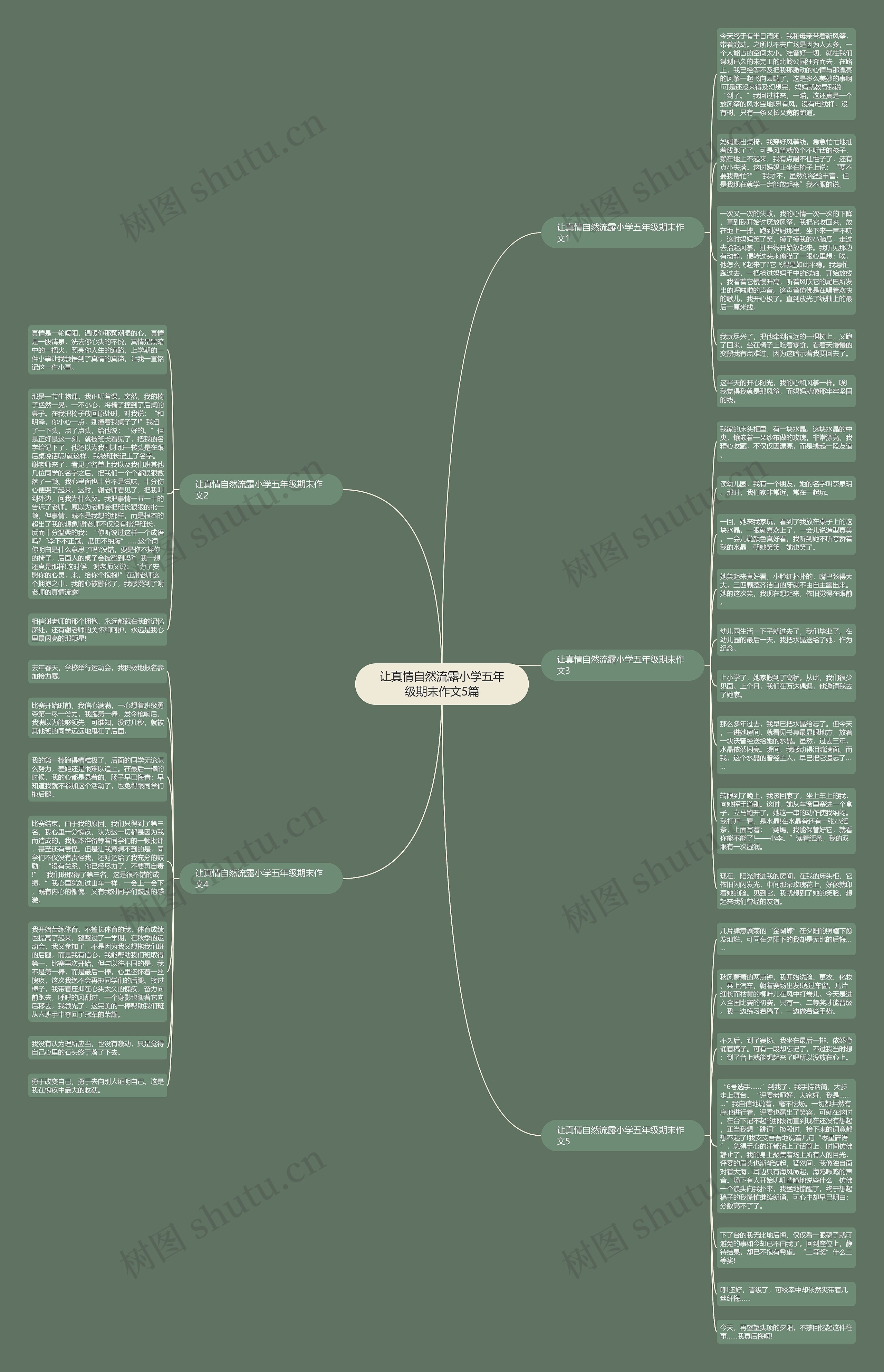 让真情自然流露小学五年级期末作文5篇思维导图