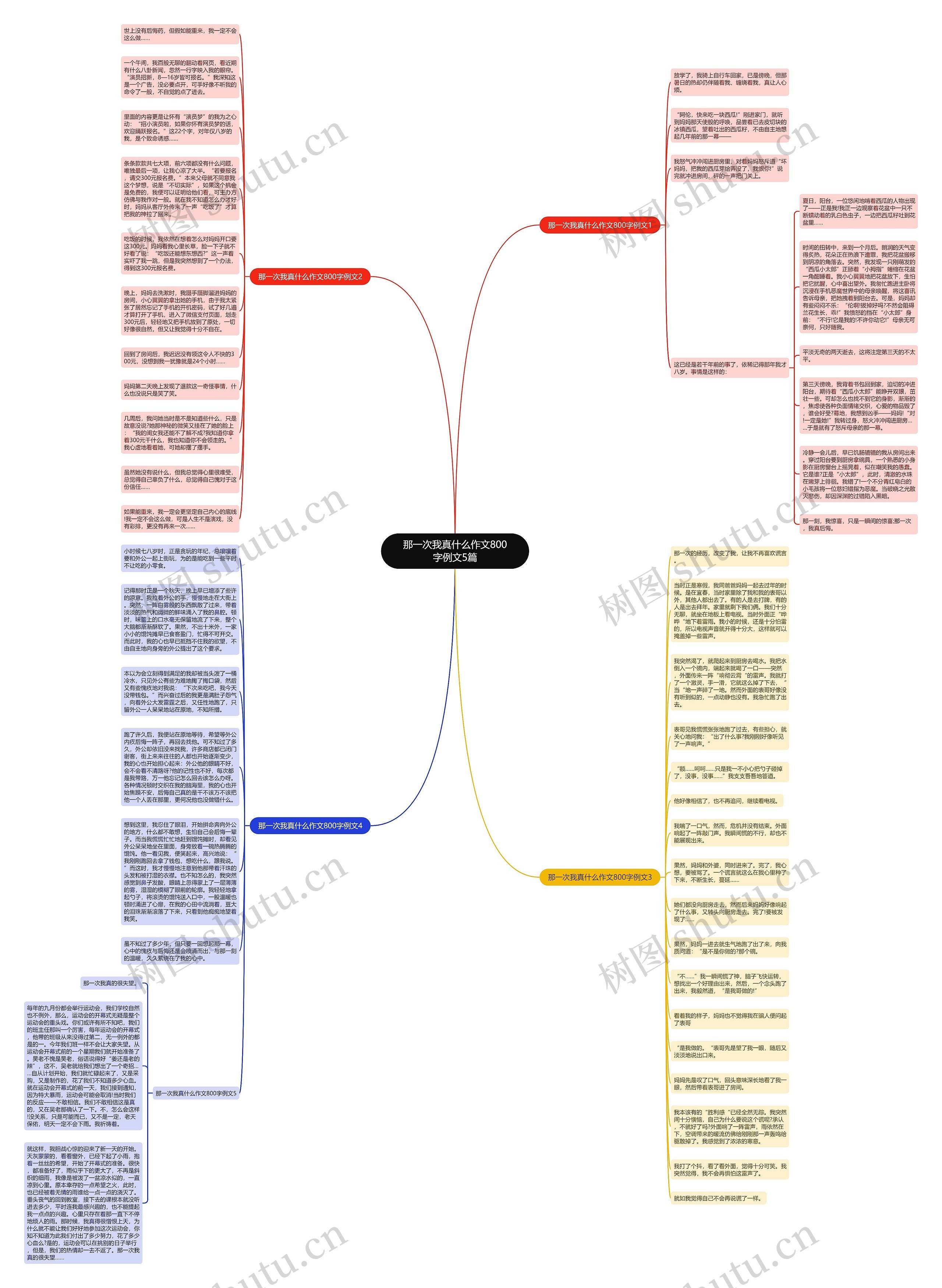 那一次我真什么作文800字例文5篇思维导图