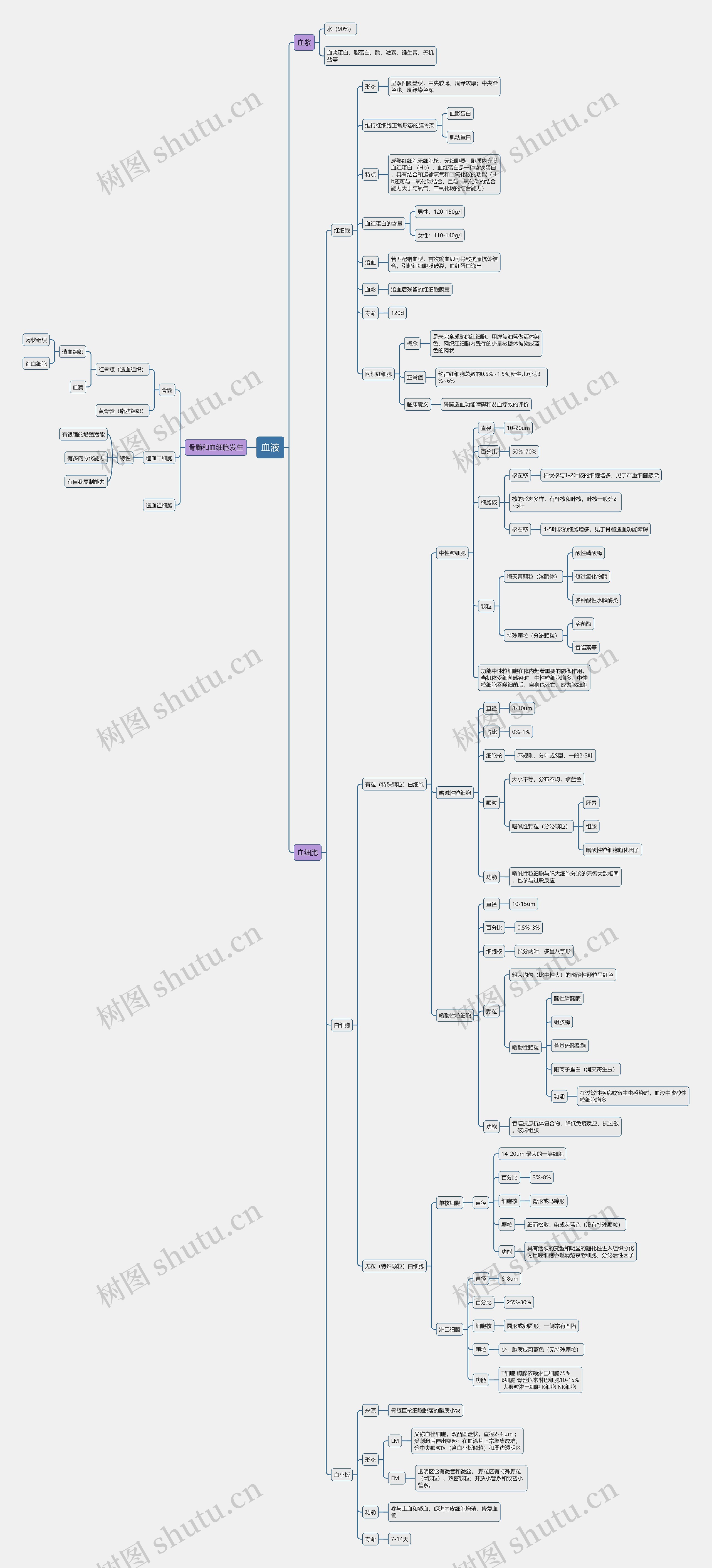 病理学血液知识总结思维导图