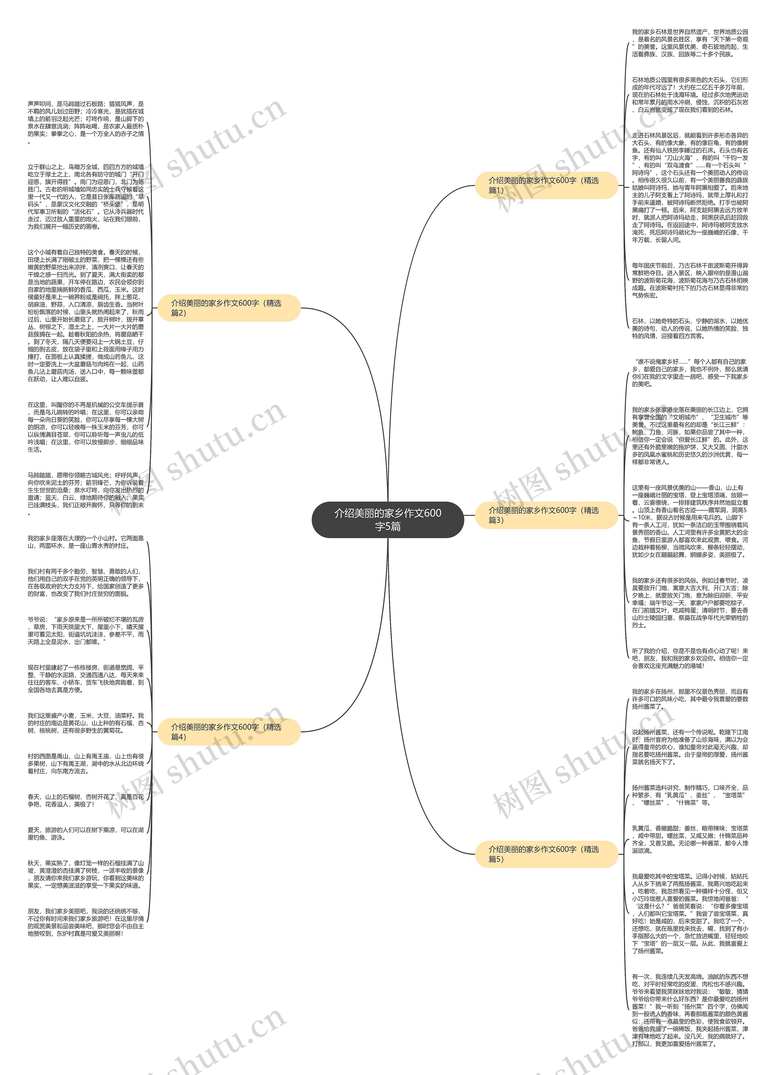 介绍美丽的家乡作文600字5篇思维导图