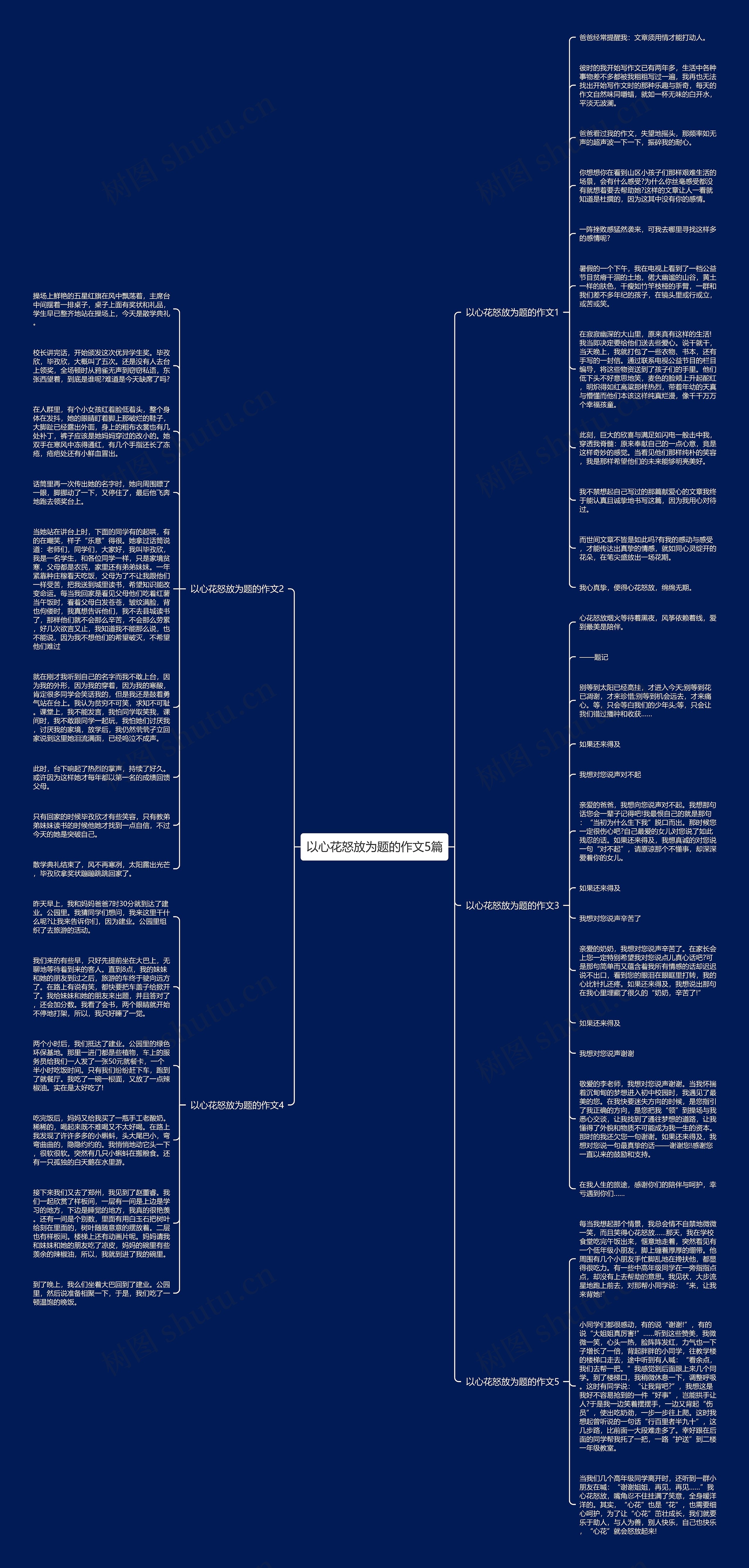 以心花怒放为题的作文5篇思维导图