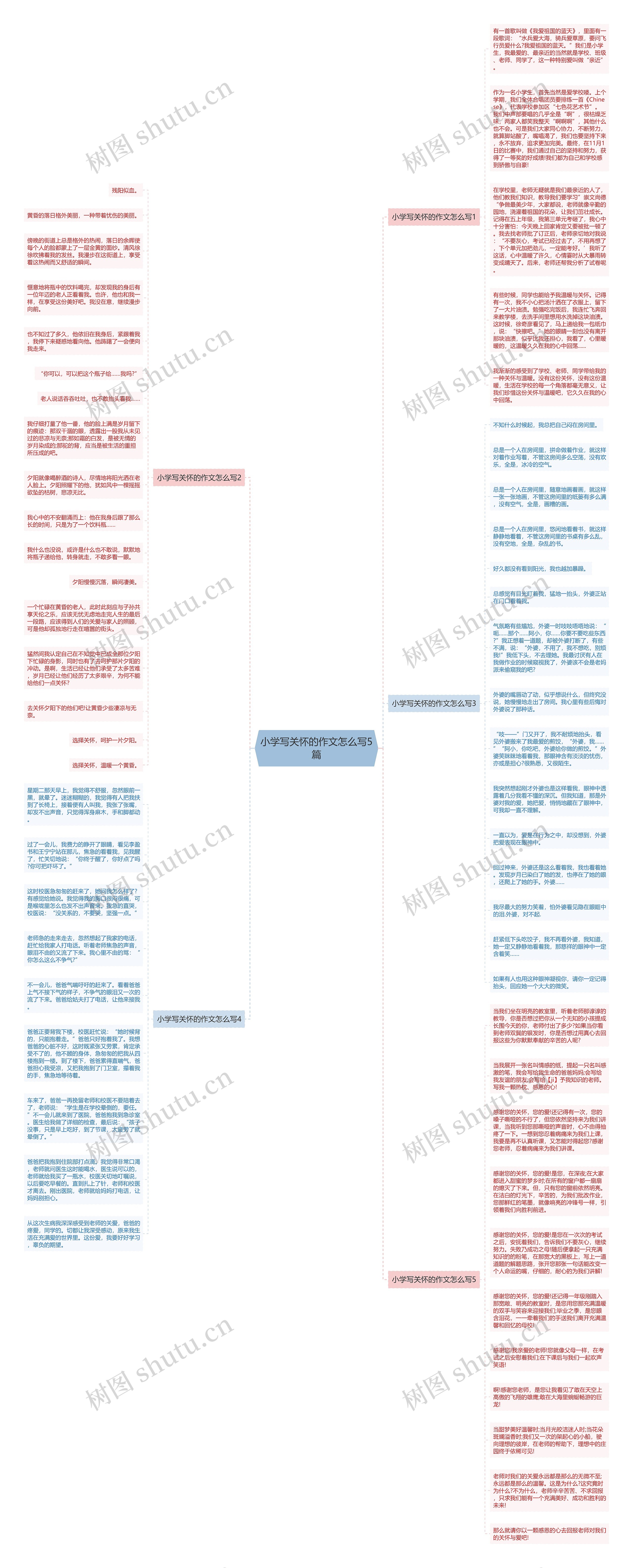 小学写关怀的作文怎么写5篇思维导图