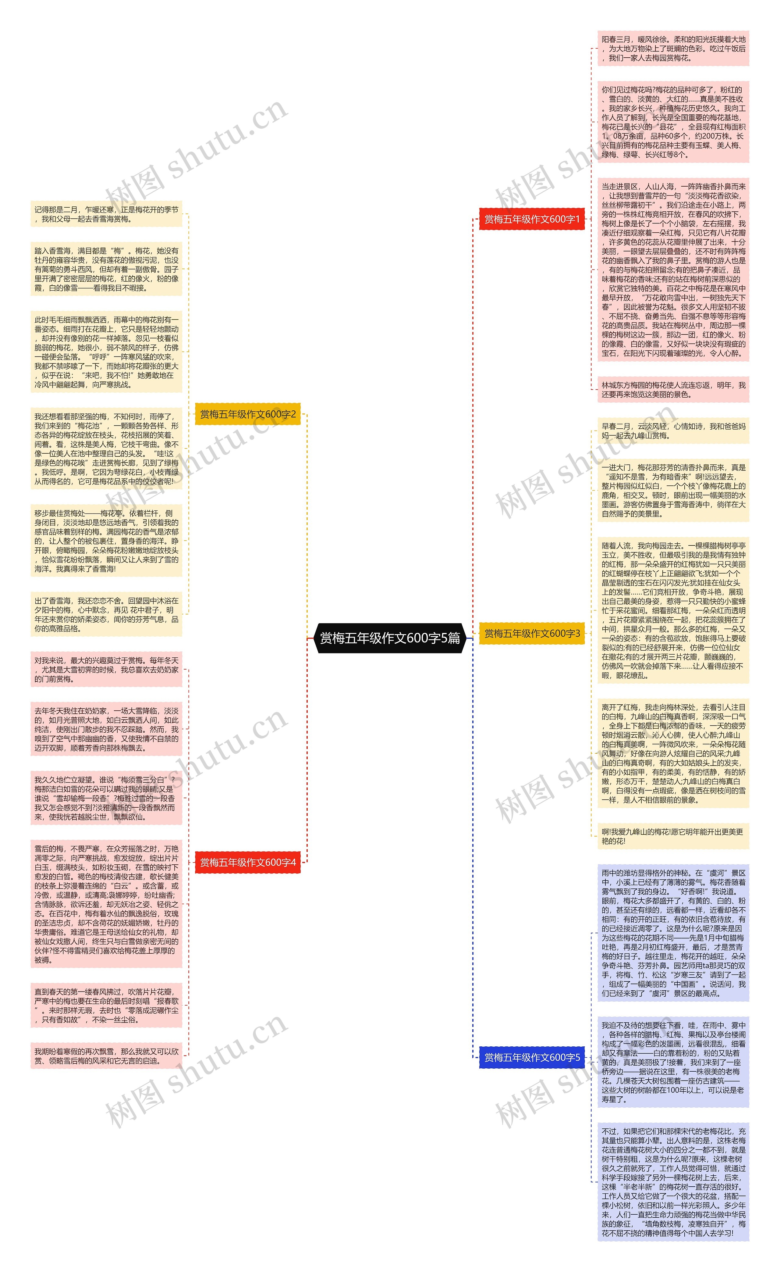 赏梅五年级作文600字5篇思维导图