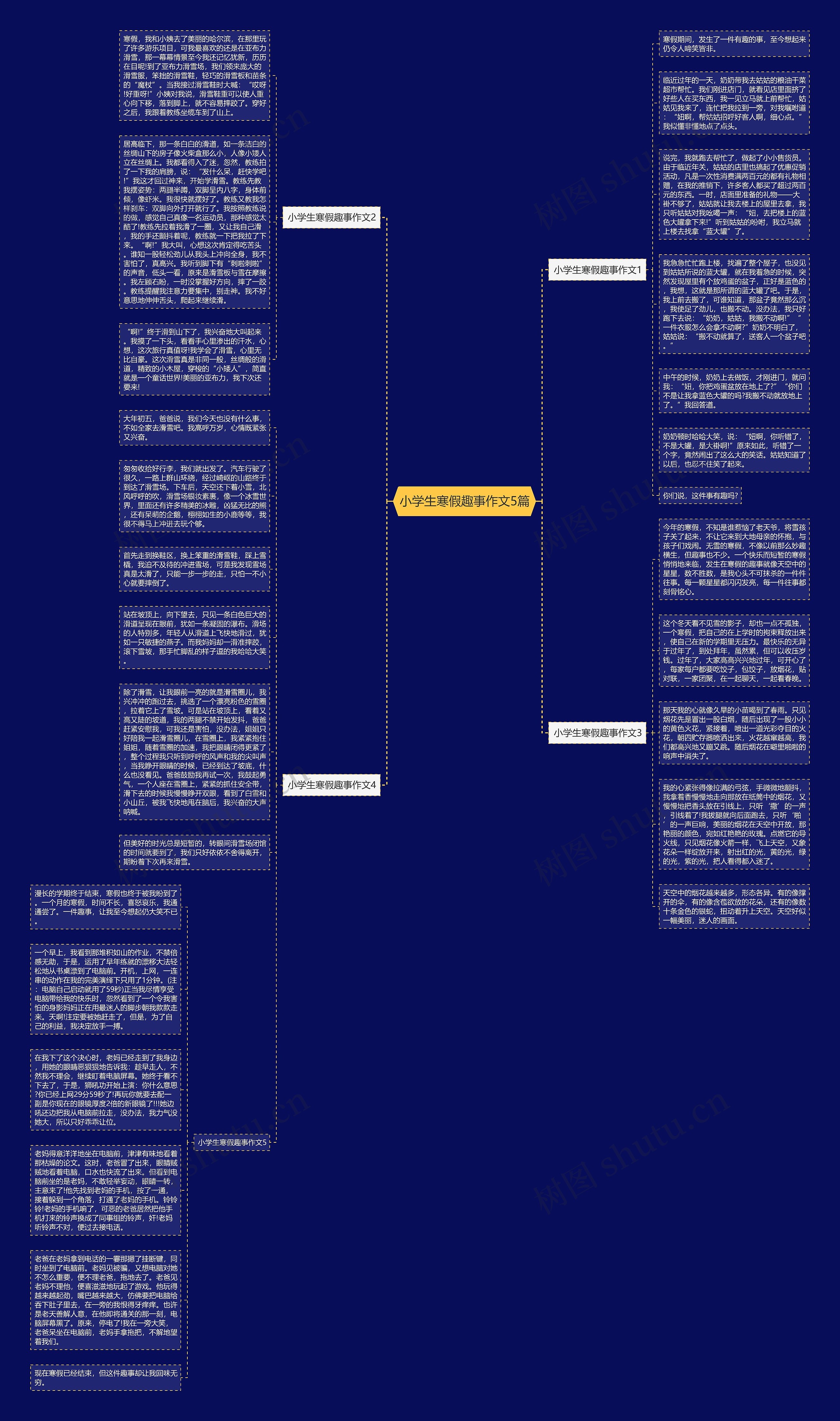 小学生寒假趣事作文5篇思维导图