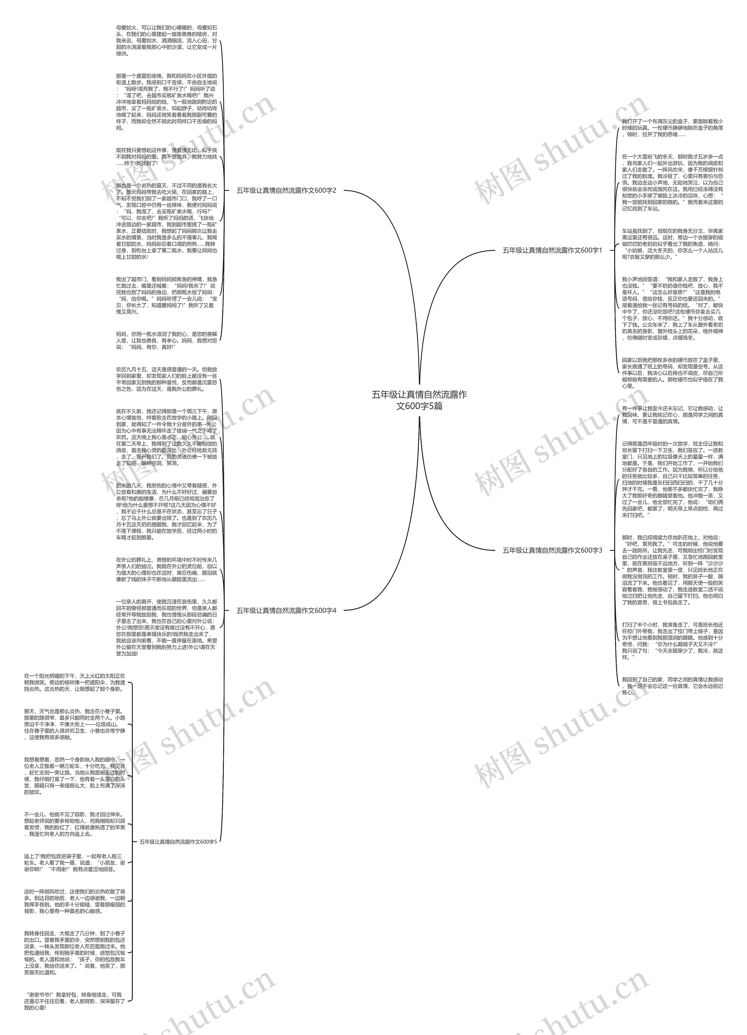 五年级让真情自然流露作文600字5篇思维导图