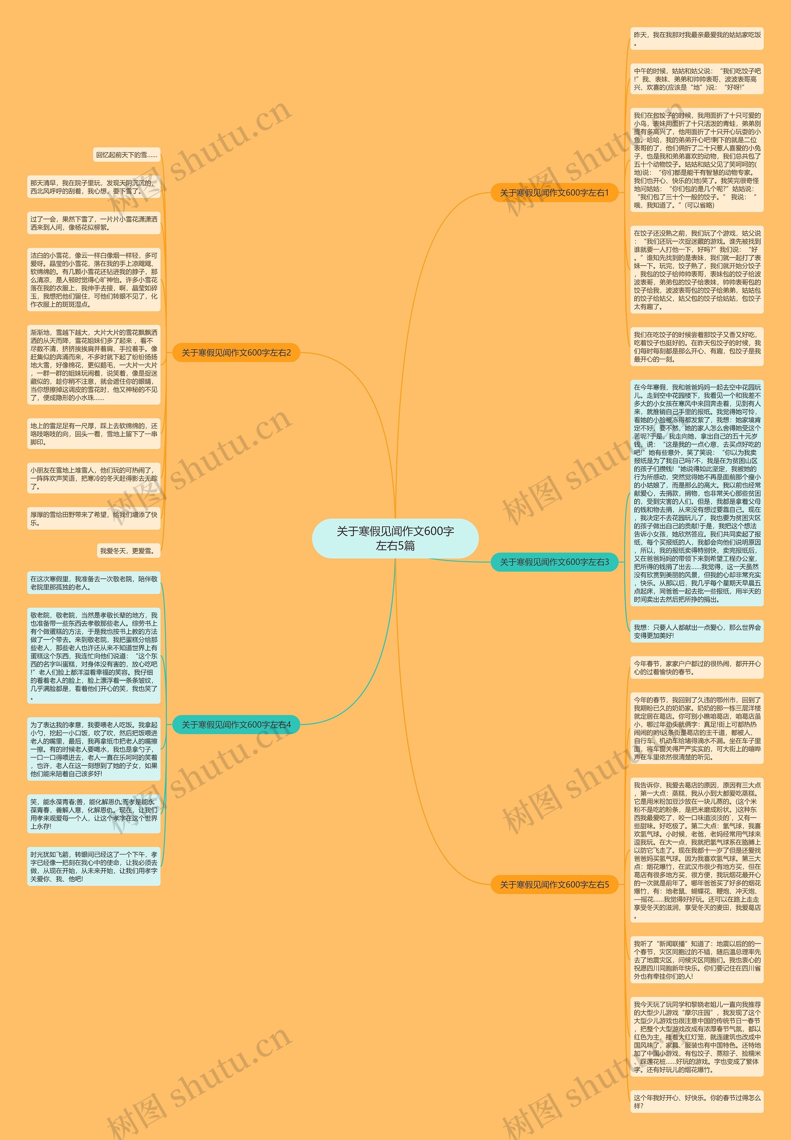 关于寒假见闻作文600字左右5篇思维导图