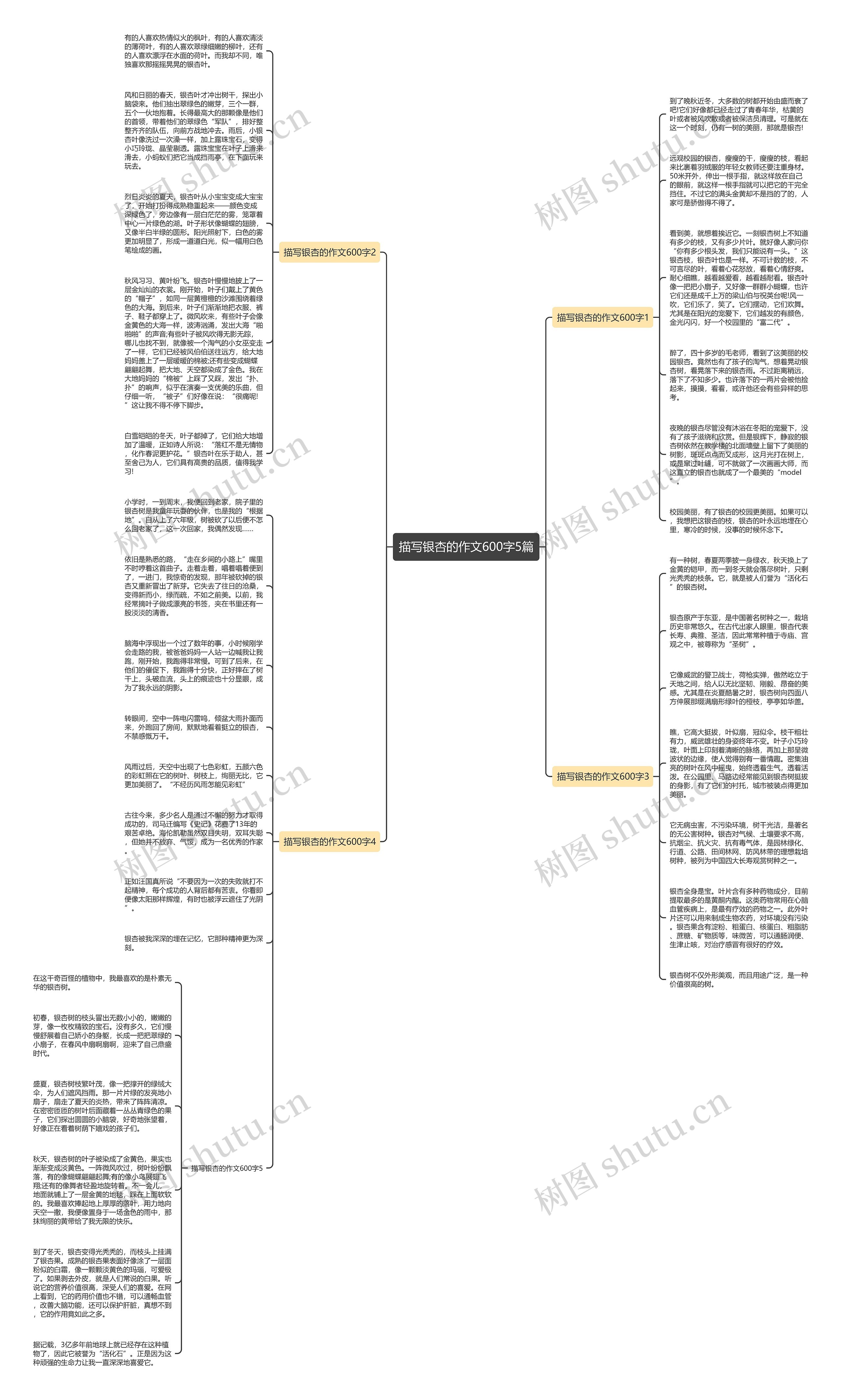 描写银杏的作文600字5篇思维导图