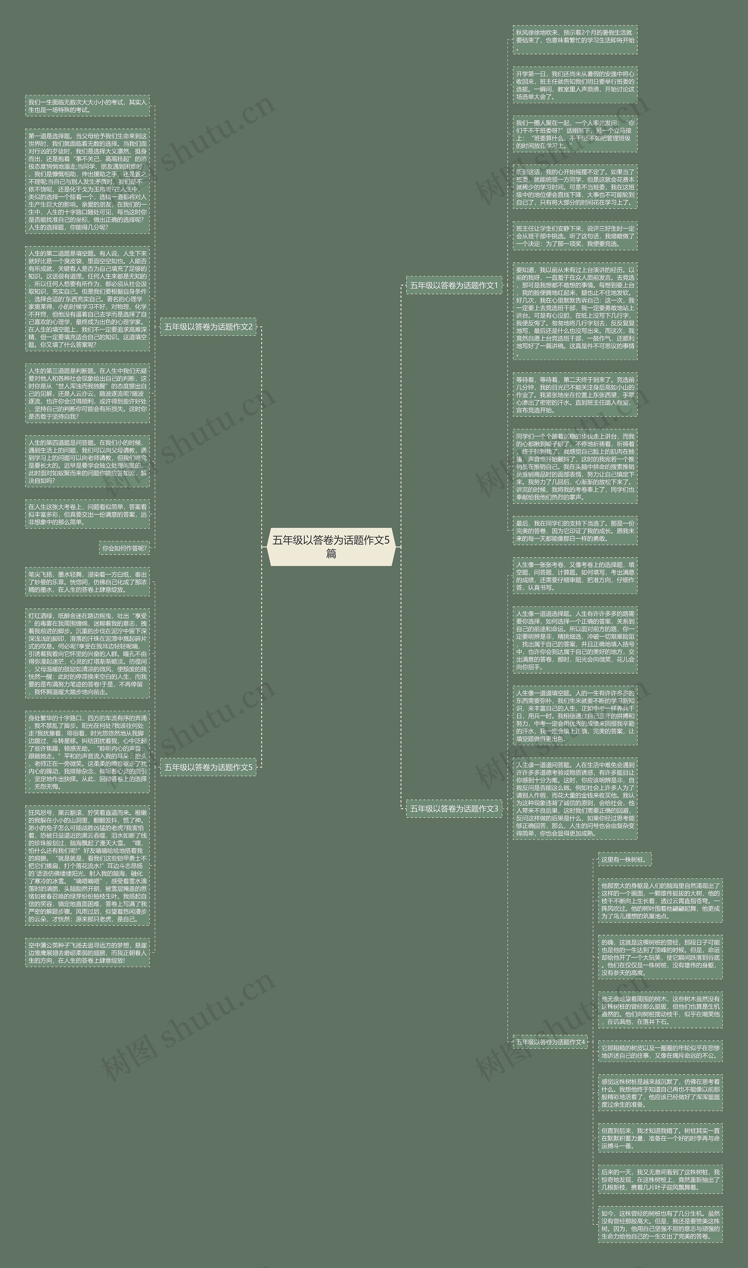 五年级以答卷为话题作文5篇思维导图
