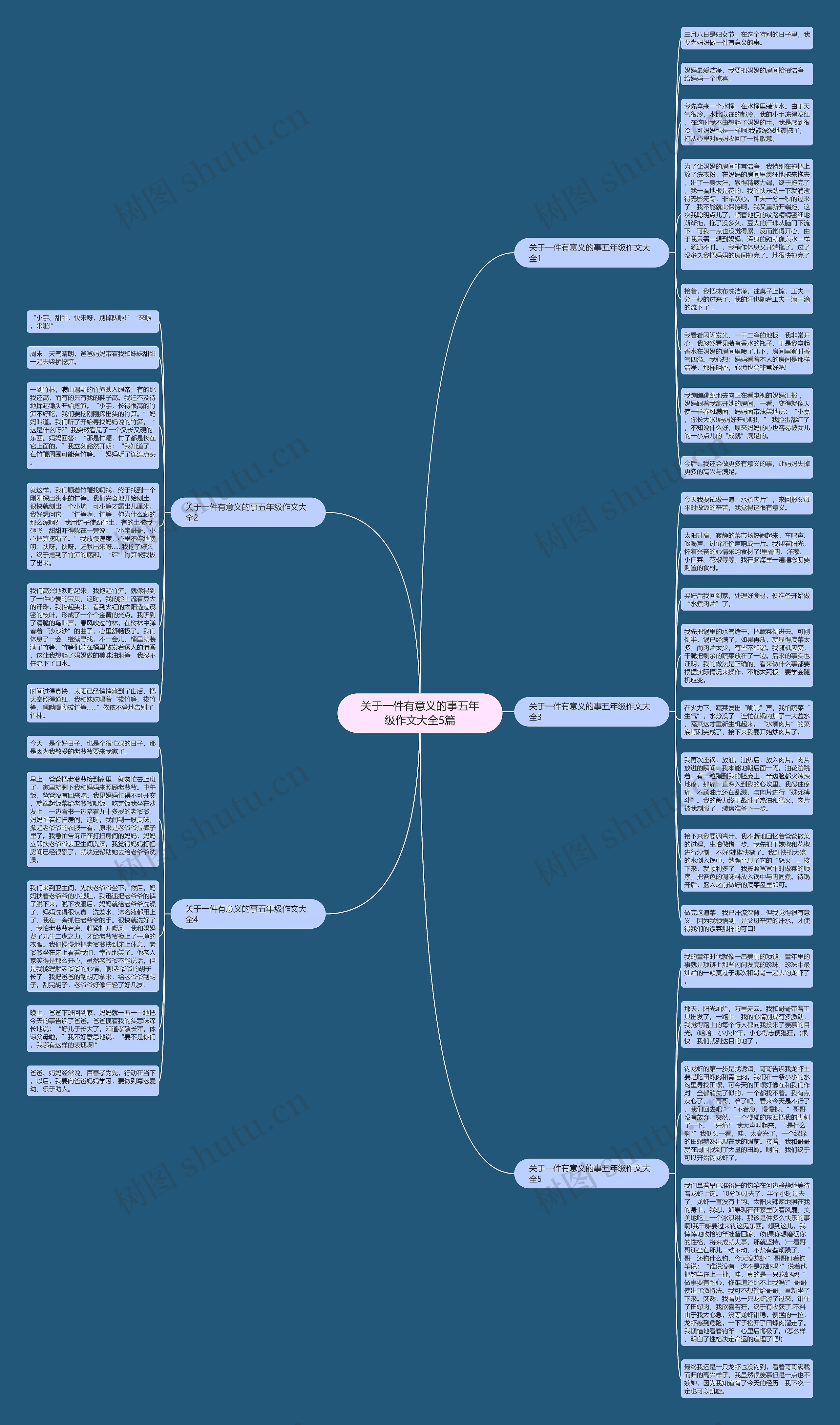 关于一件有意义的事五年级作文大全5篇思维导图