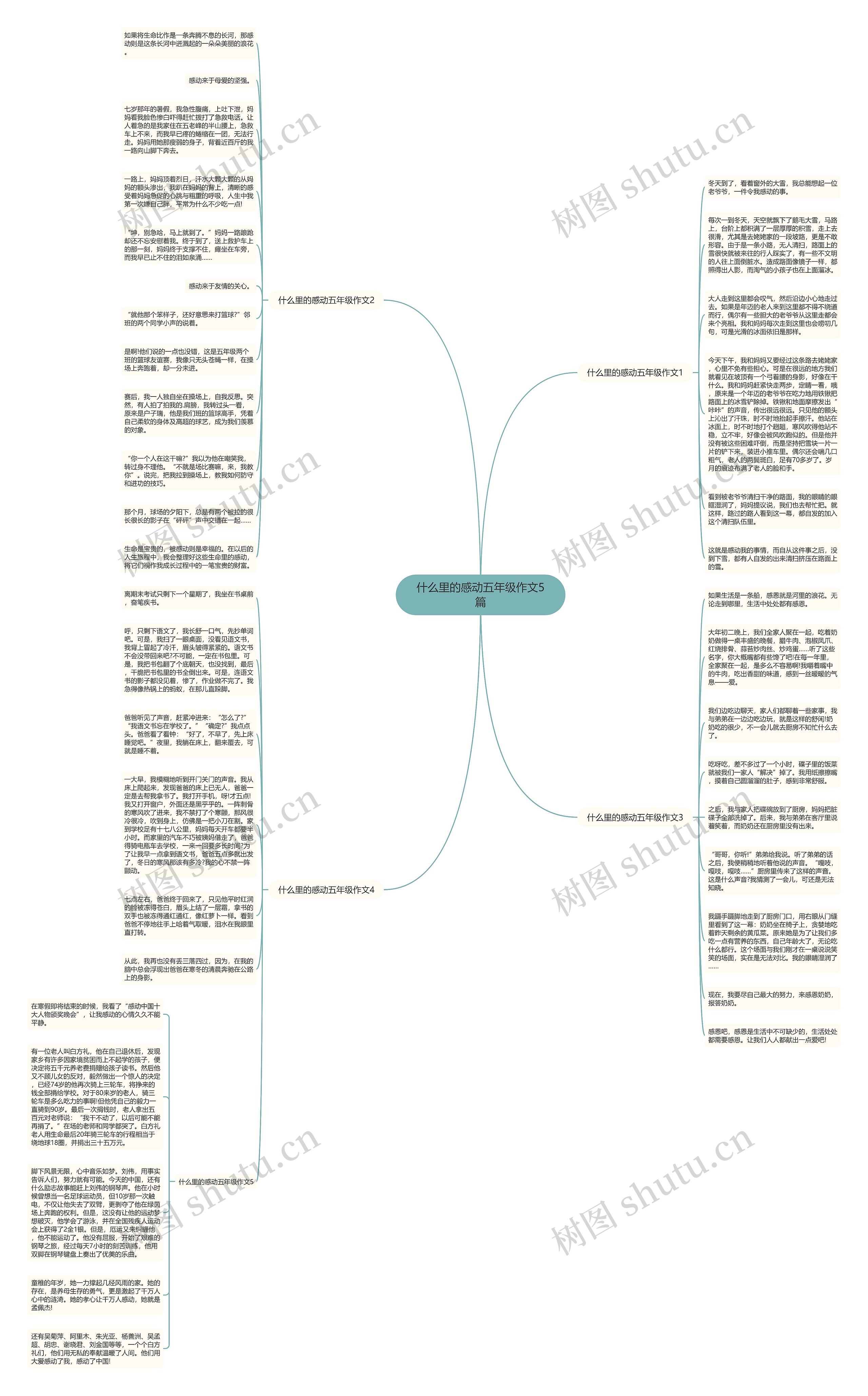 什么里的感动五年级作文5篇思维导图