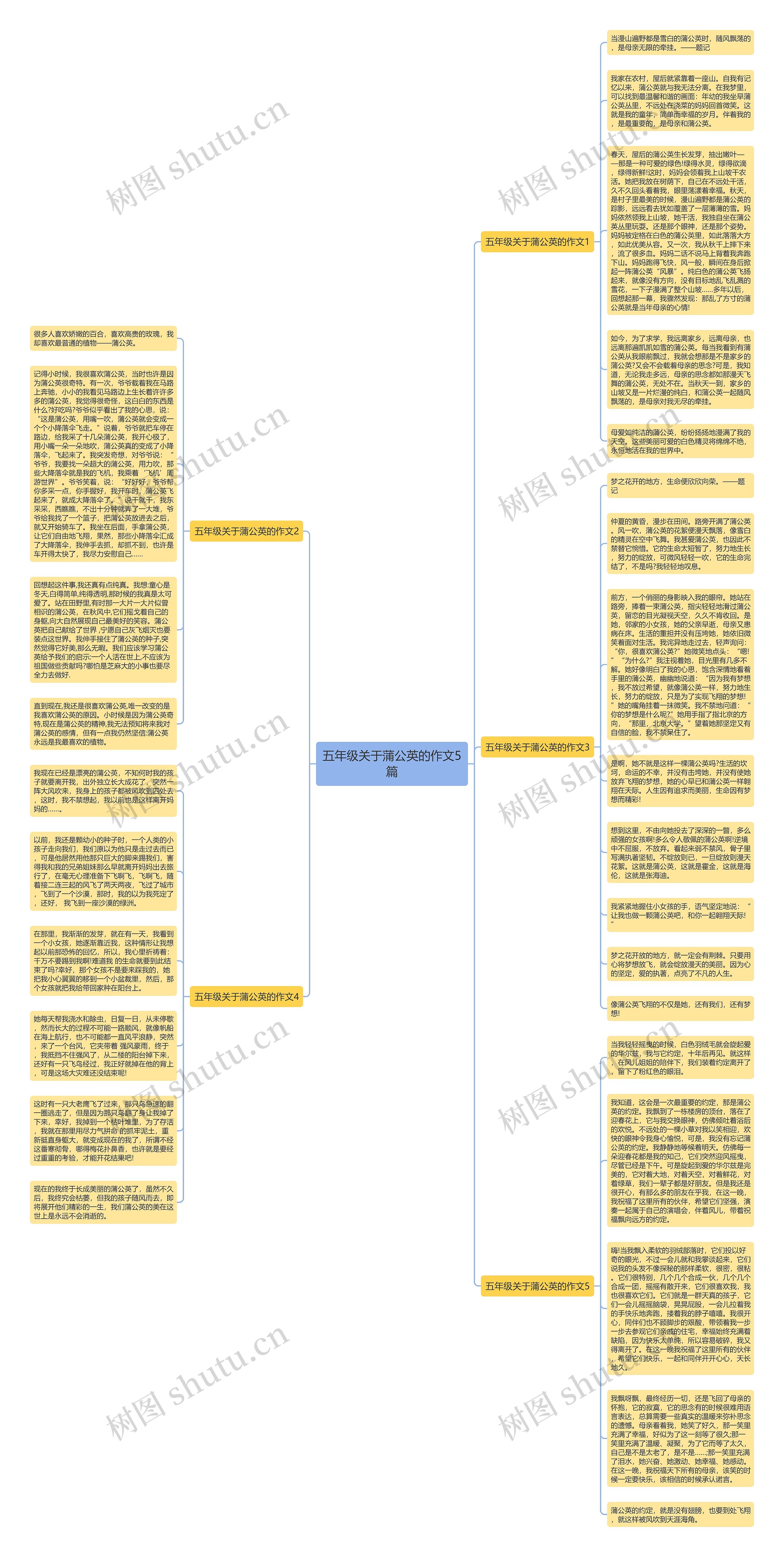 五年级关于蒲公英的作文5篇思维导图