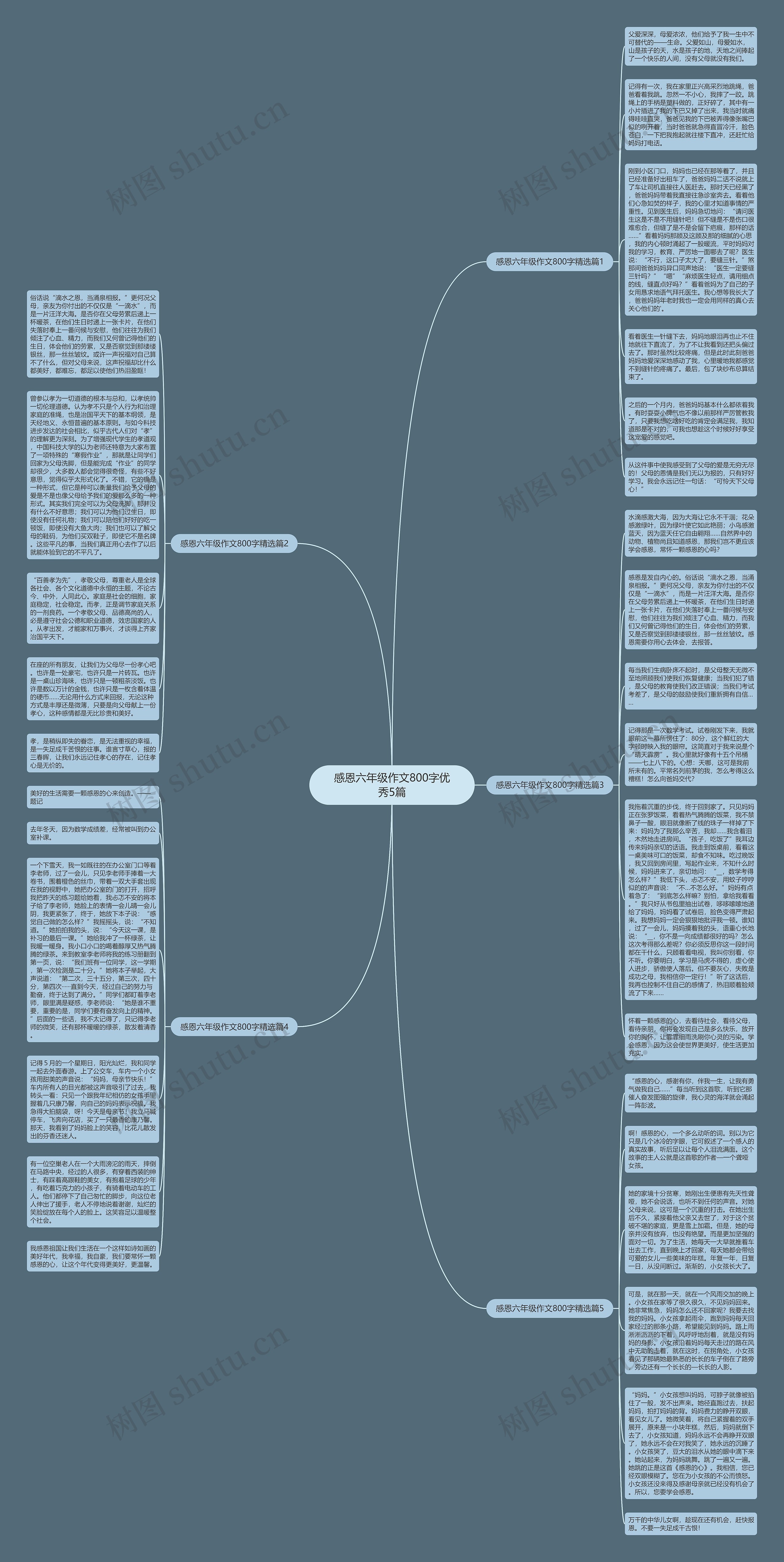 感恩六年级作文800字优秀5篇思维导图