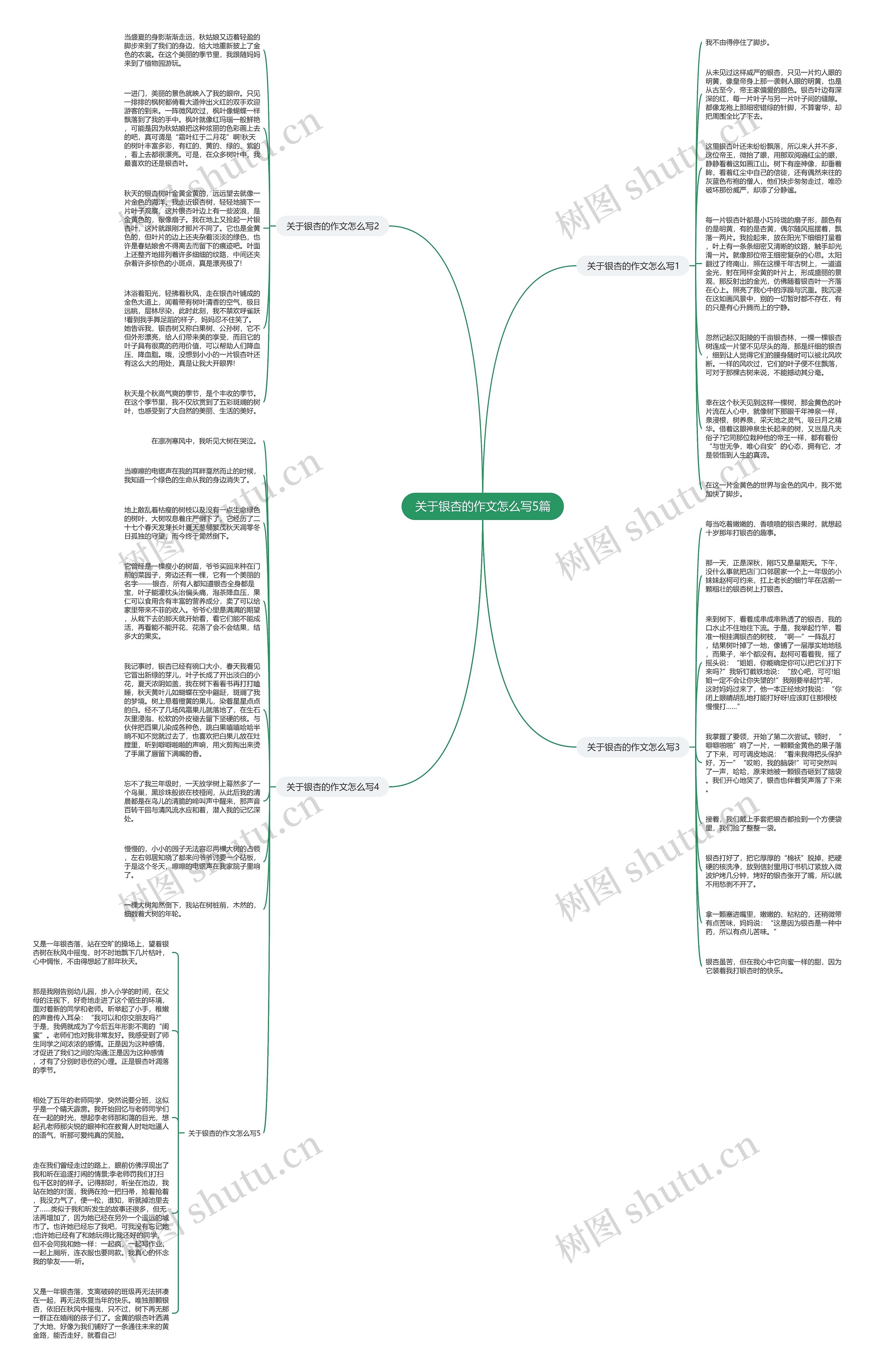关于银杏的作文怎么写5篇思维导图
