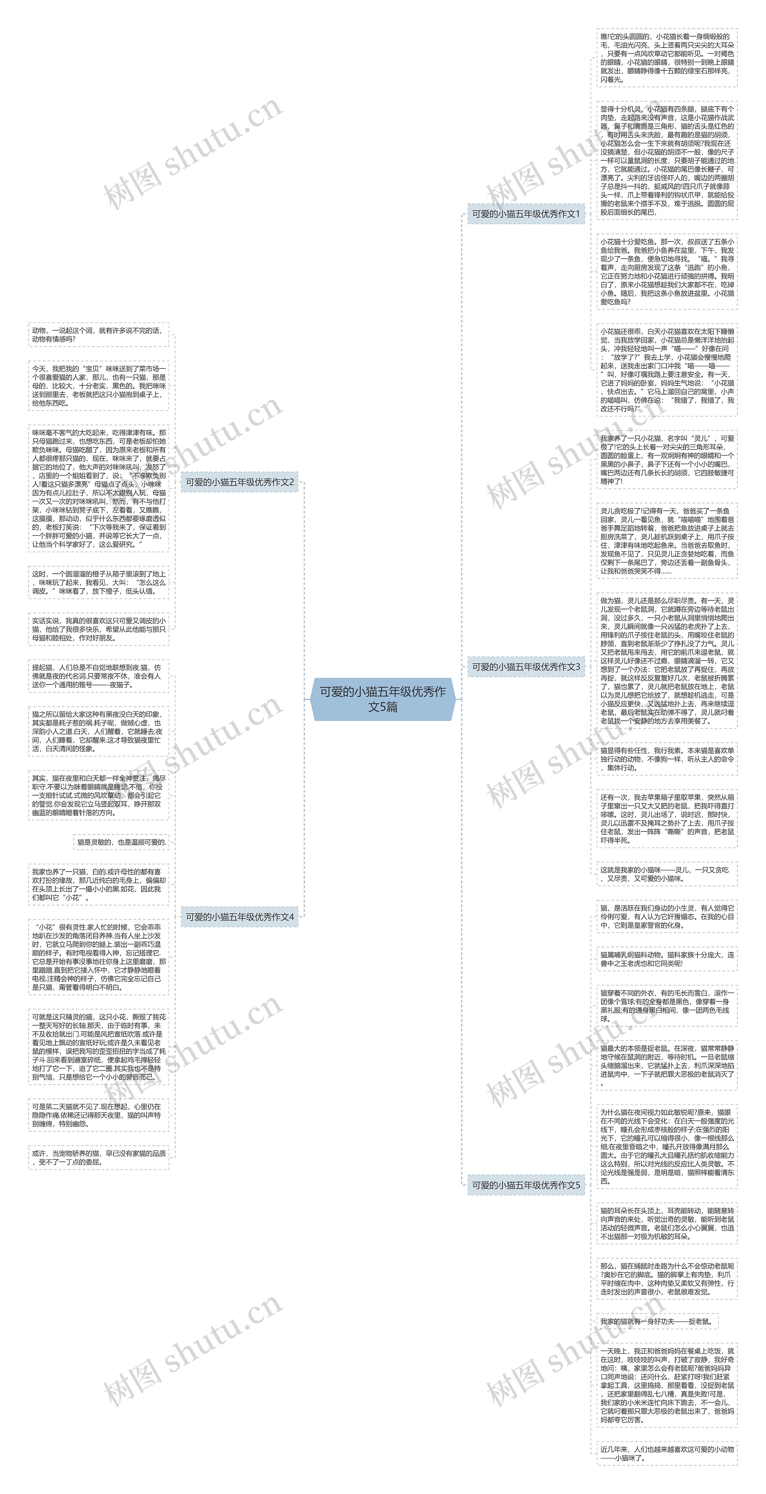 可爱的小猫五年级优秀作文5篇思维导图
