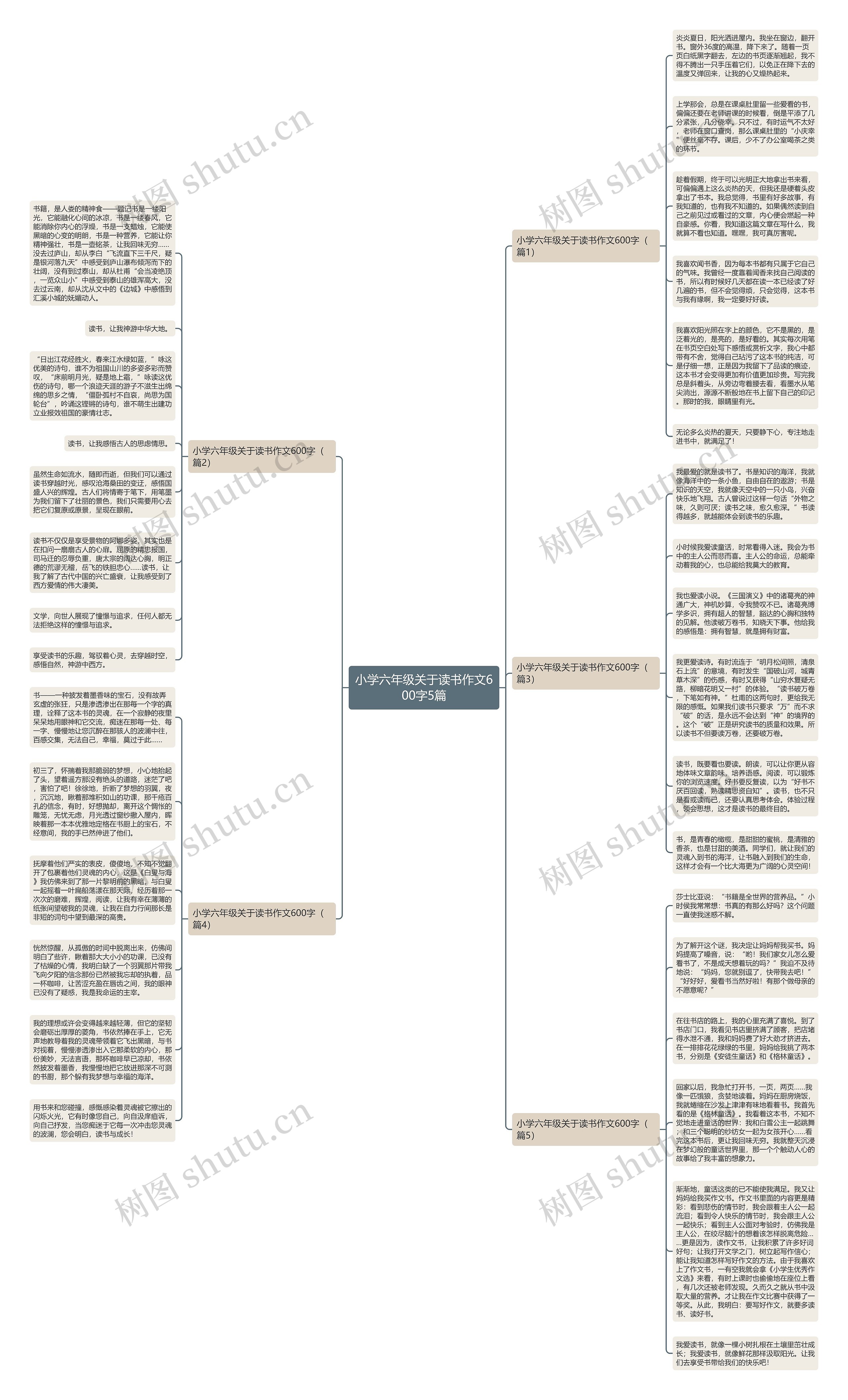 小学六年级关于读书作文600字5篇思维导图