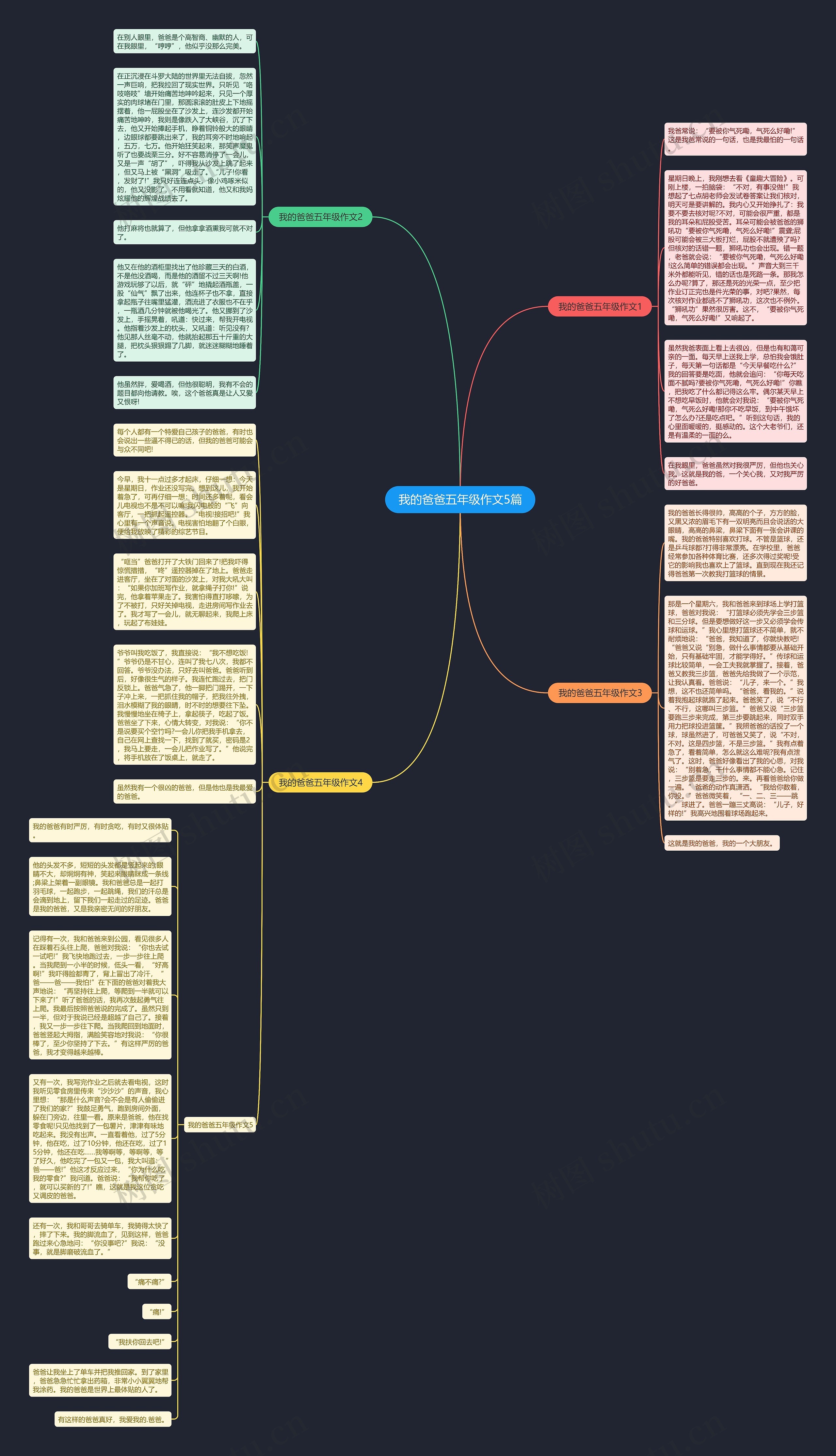 我的爸爸五年级作文5篇思维导图