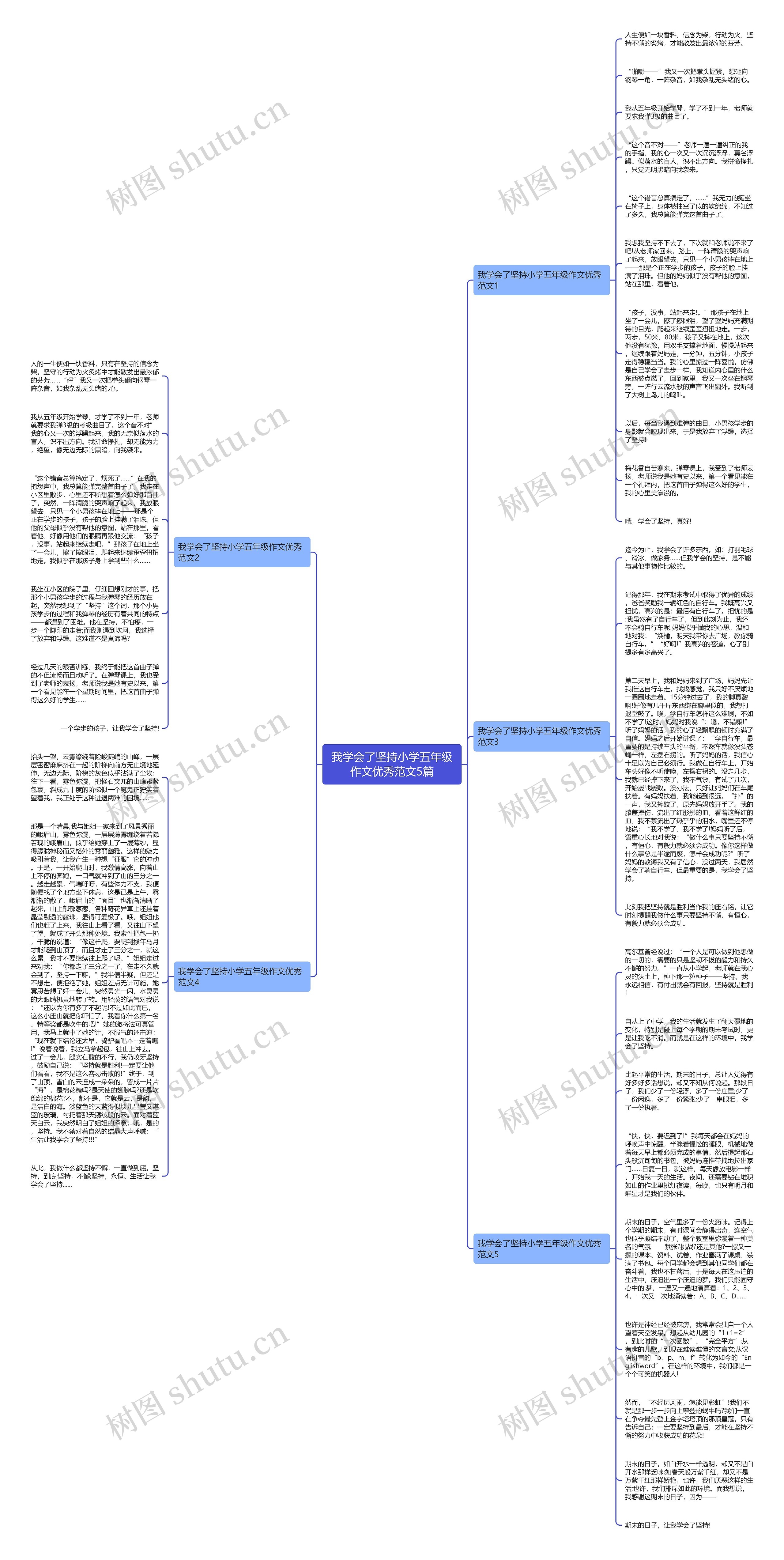 我学会了坚持小学五年级作文优秀范文5篇思维导图