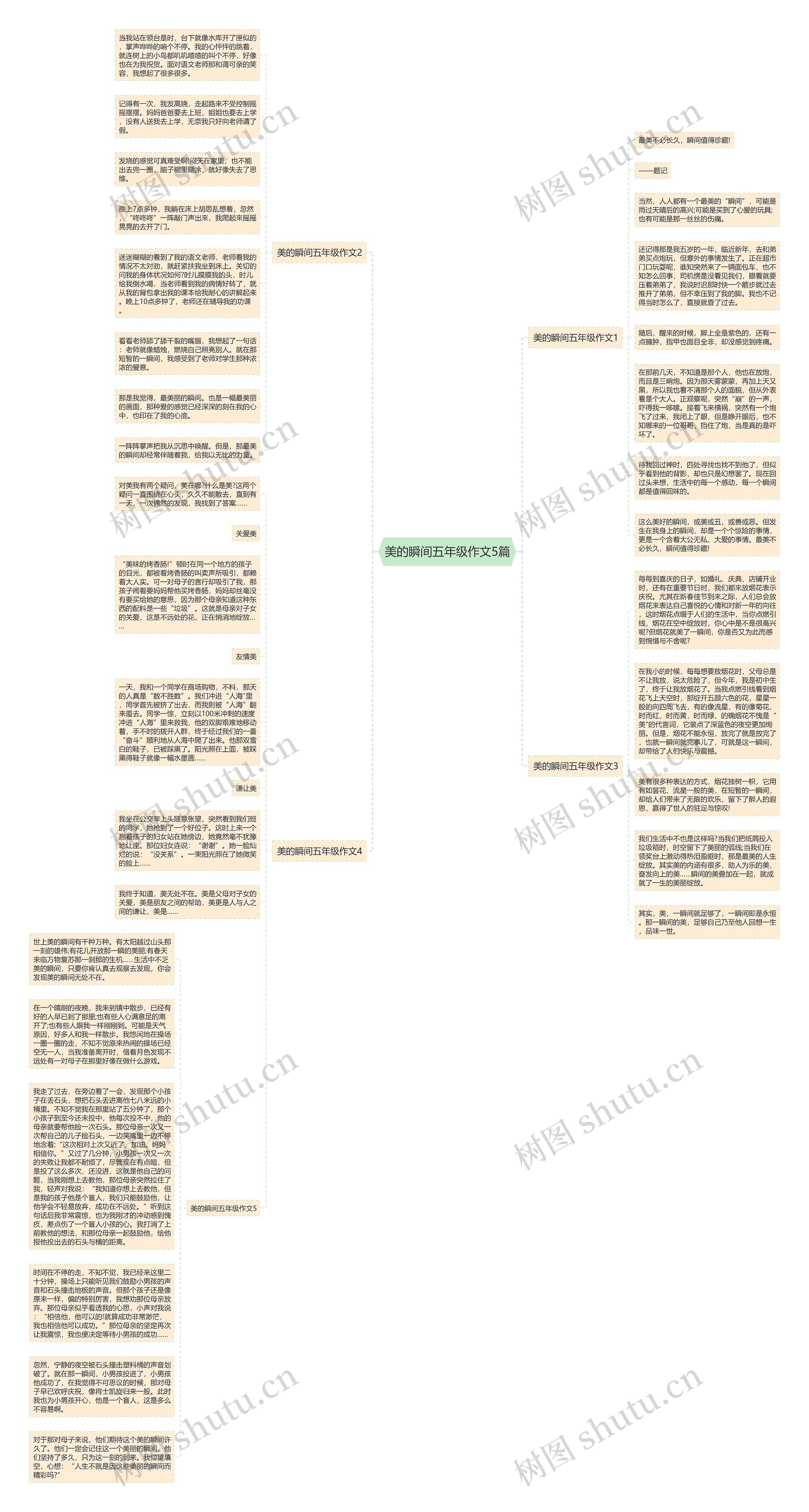 美的瞬间五年级作文5篇思维导图