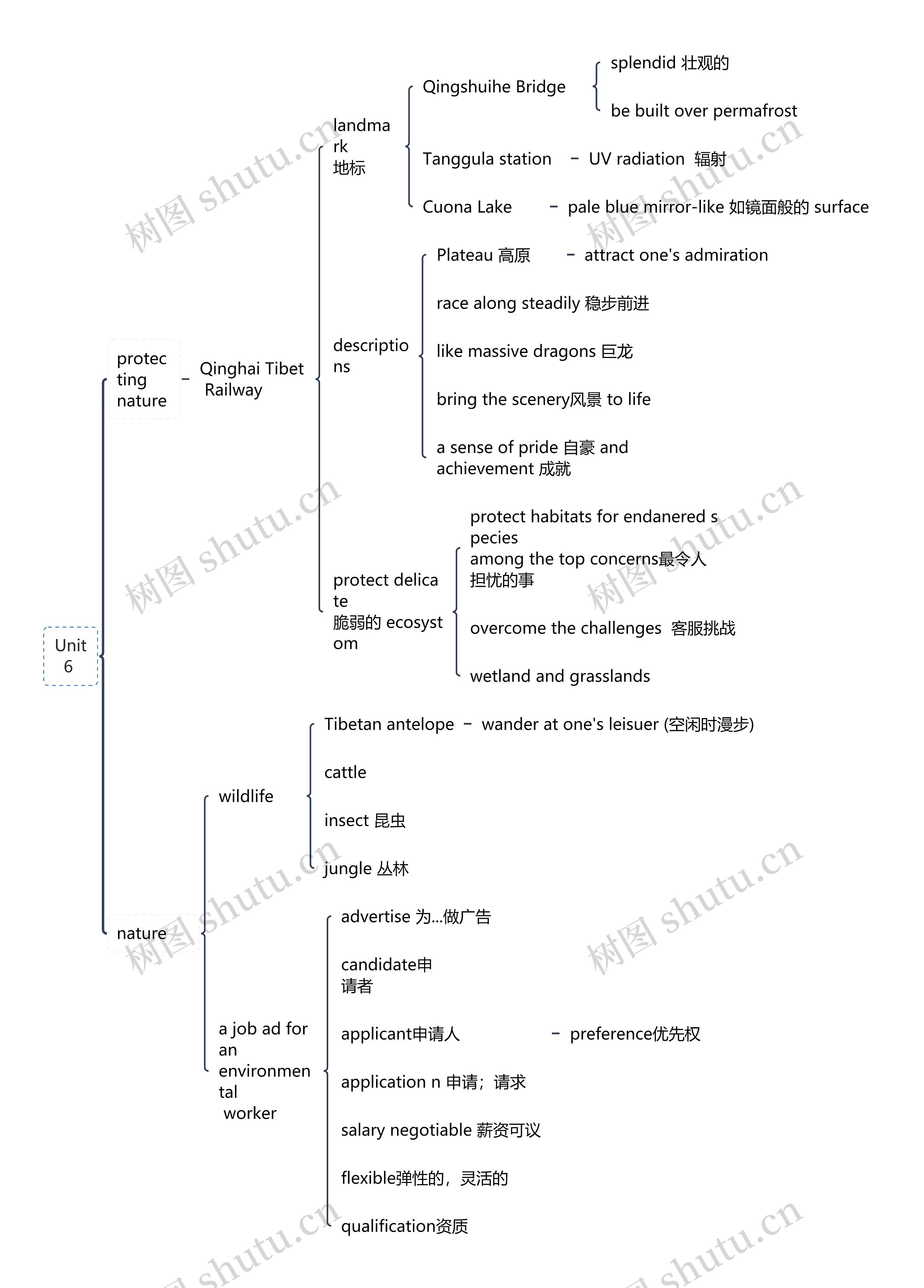 英语Unit6 知识总结