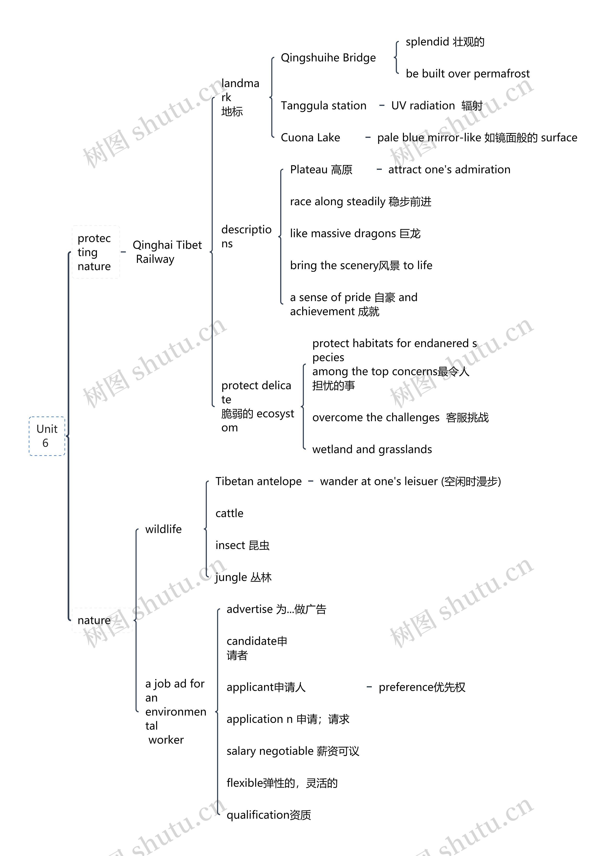 英语Unit6 知识总结思维导图