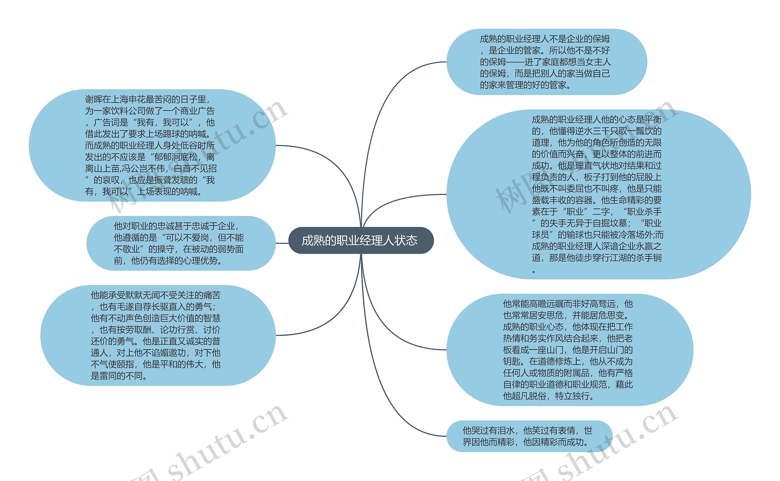 成熟的职业经理人状态 思维导图