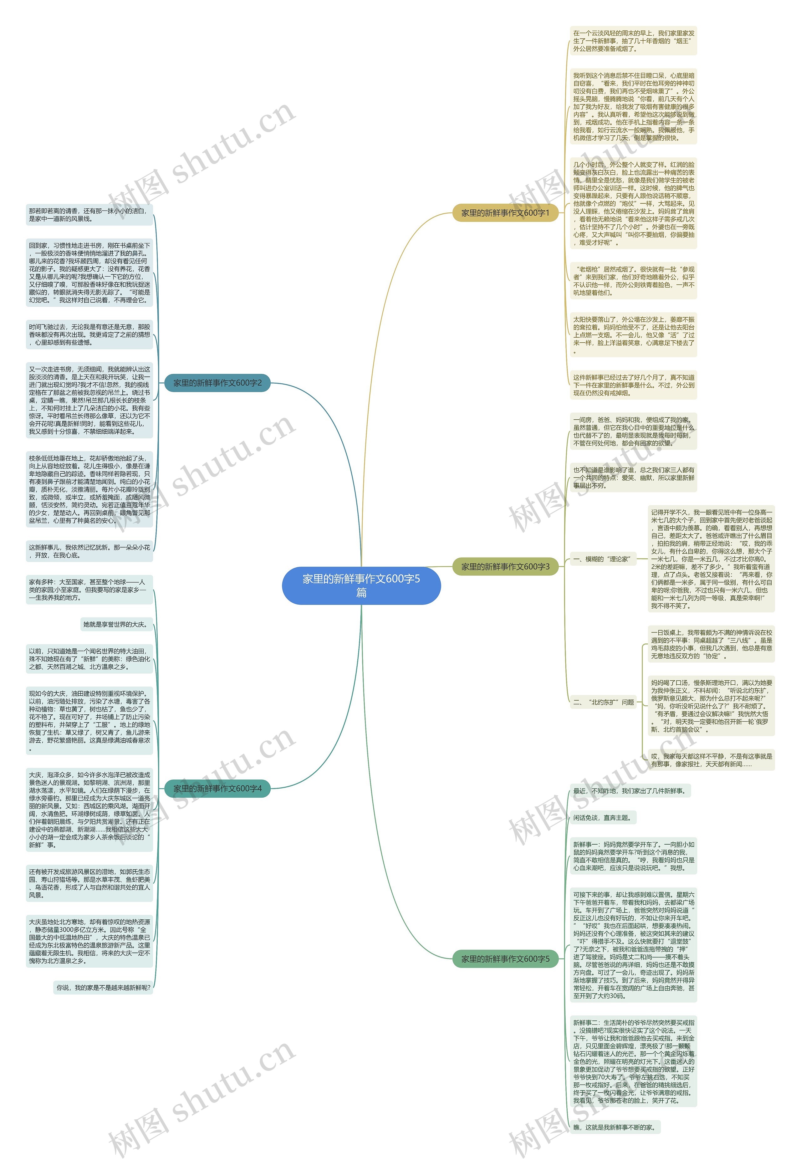 家里的新鲜事作文600字5篇思维导图