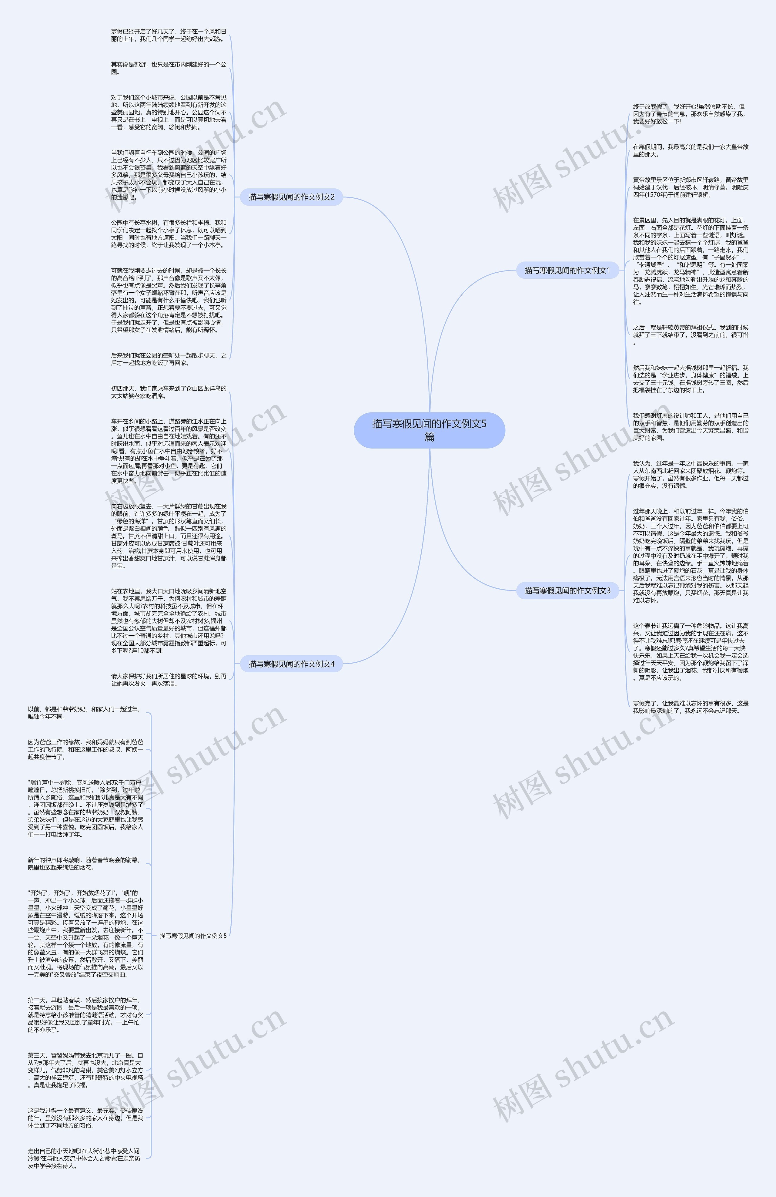 描写寒假见闻的作文例文5篇思维导图