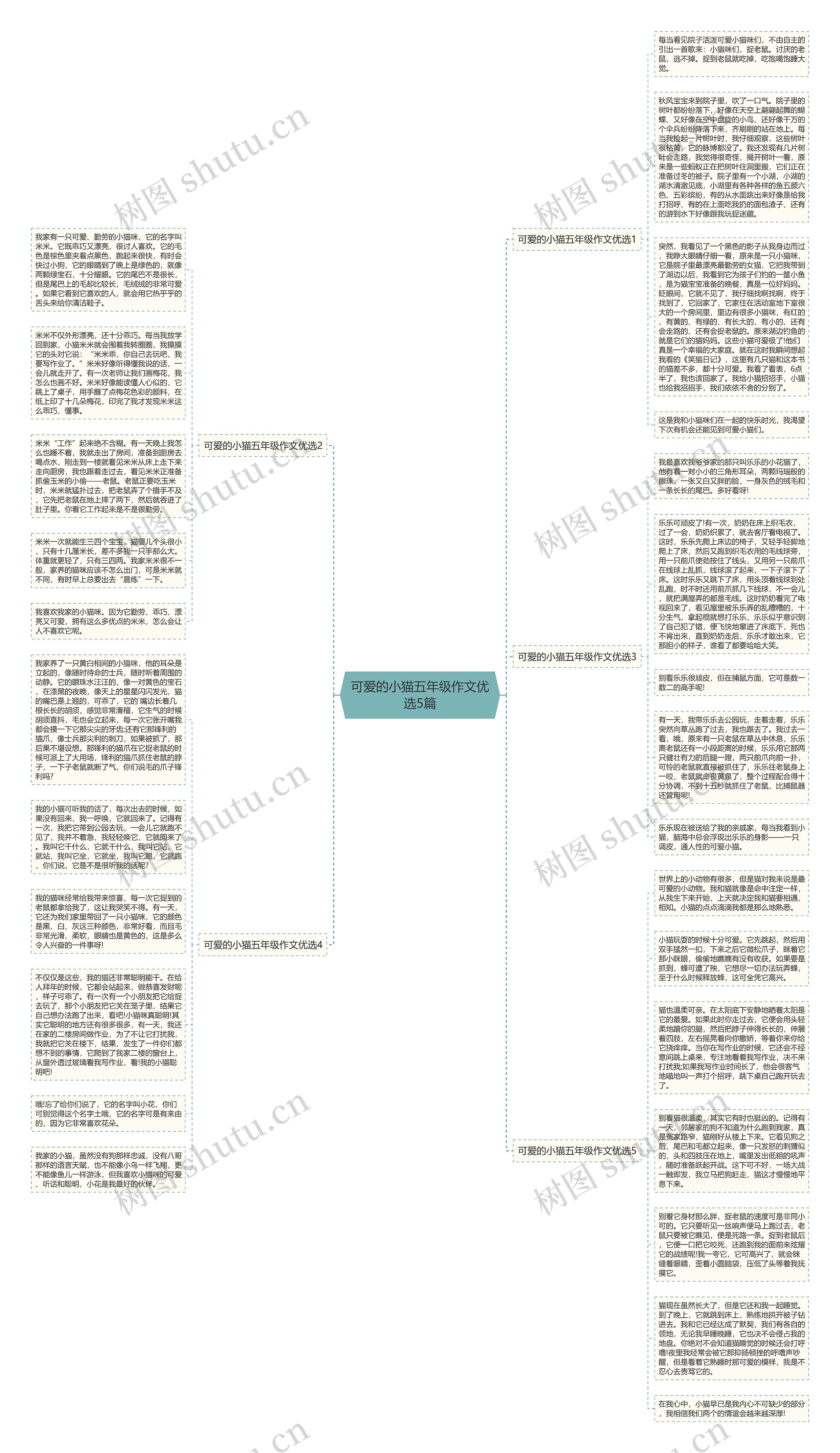 可爱的小猫五年级作文优选5篇思维导图