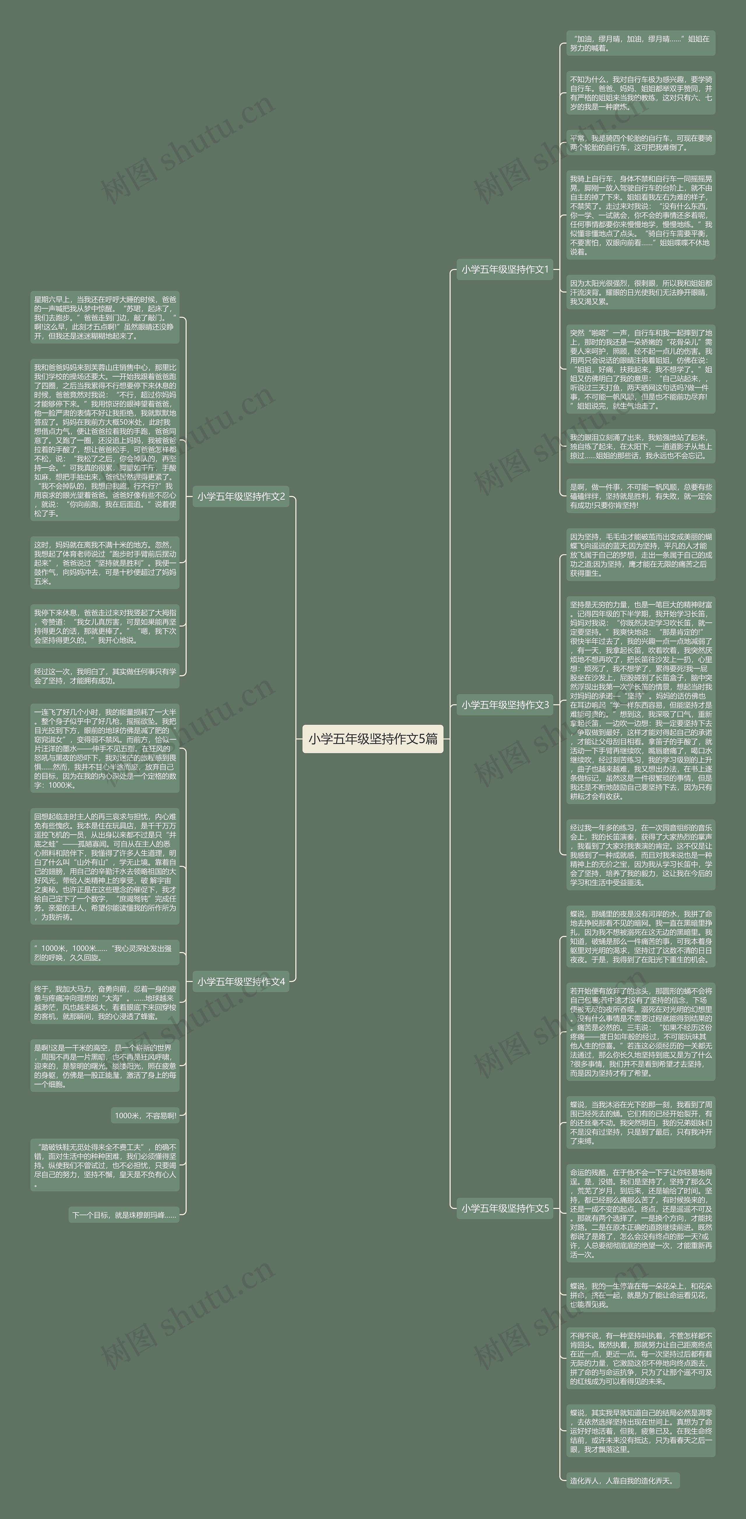 小学五年级坚持作文5篇思维导图
