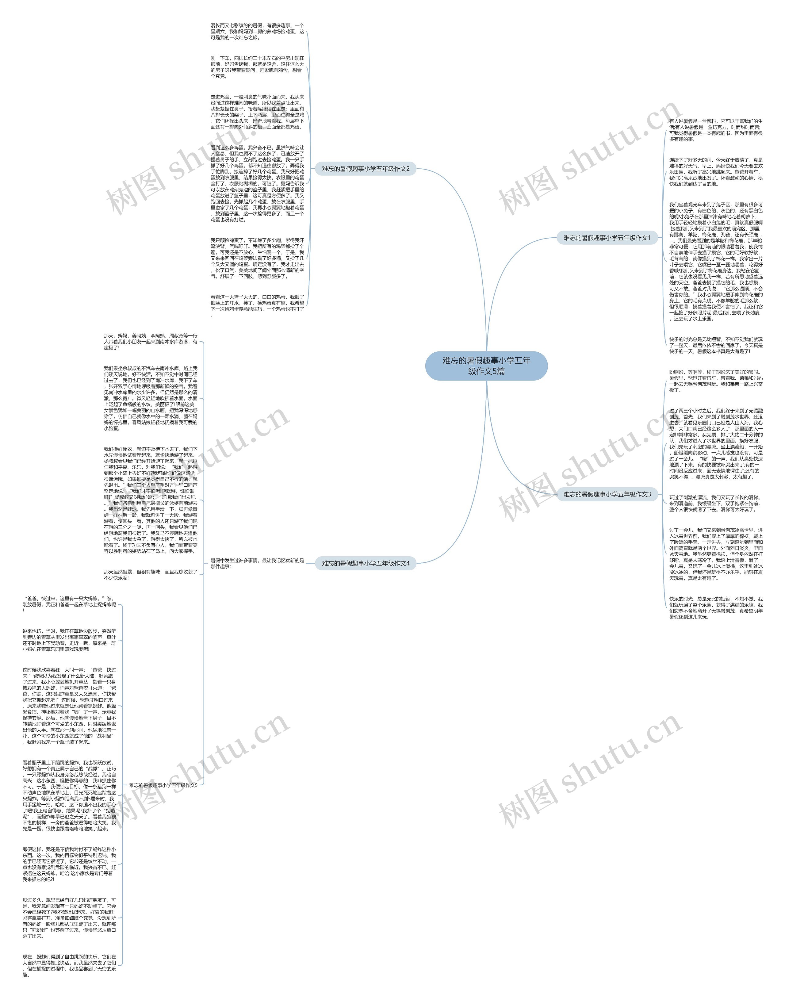 难忘的暑假趣事小学五年级作文5篇思维导图